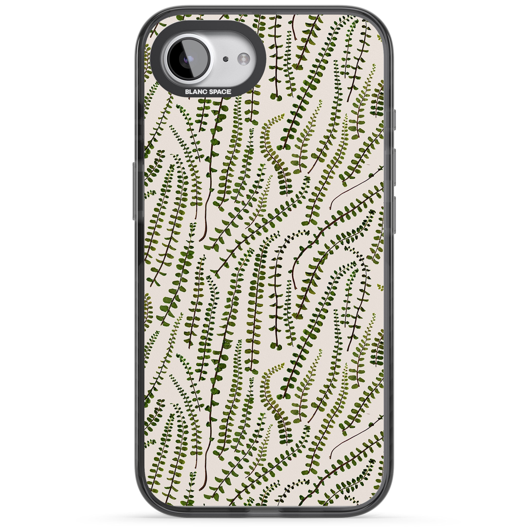Fern Leaf Pattern