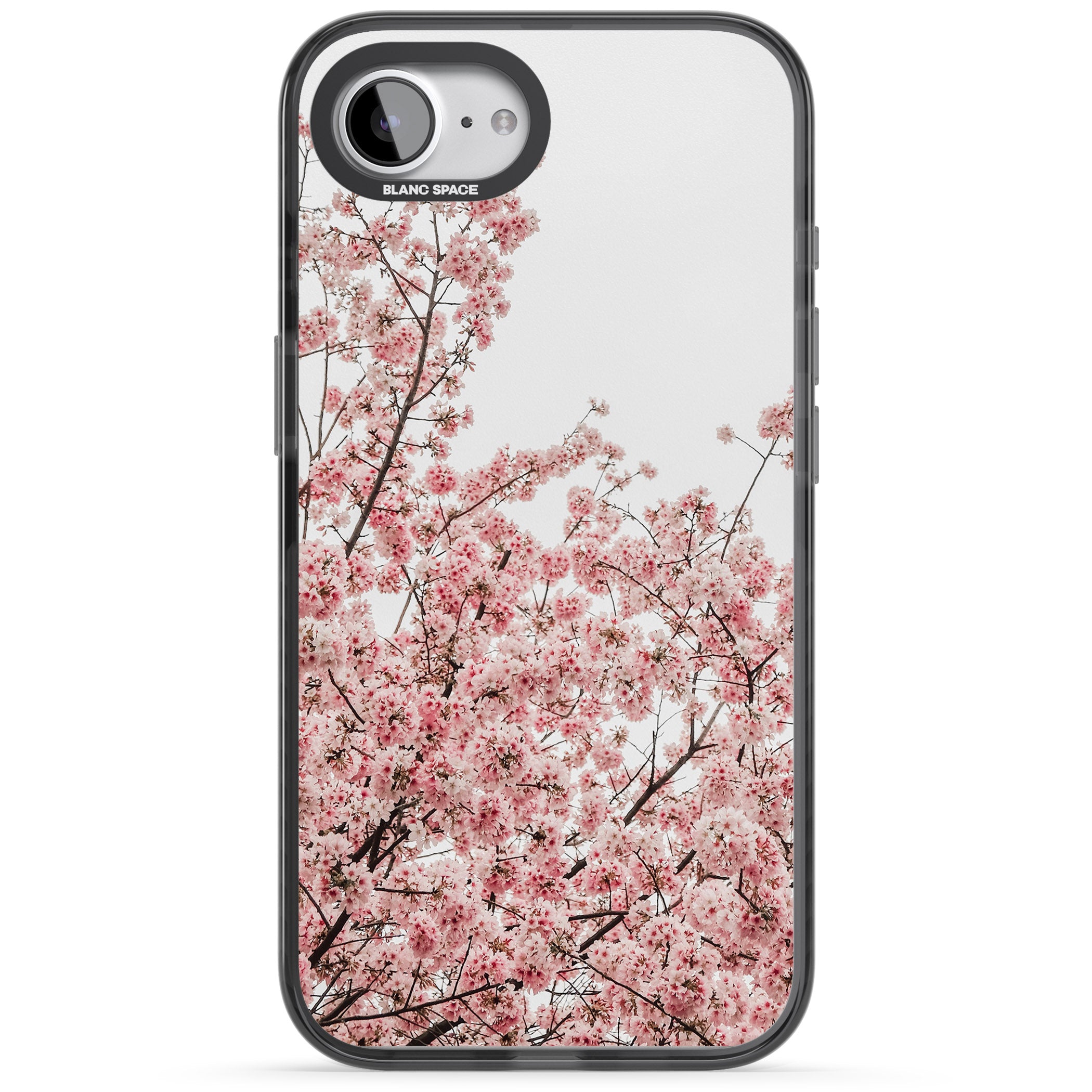Cherry Blossom Bloom