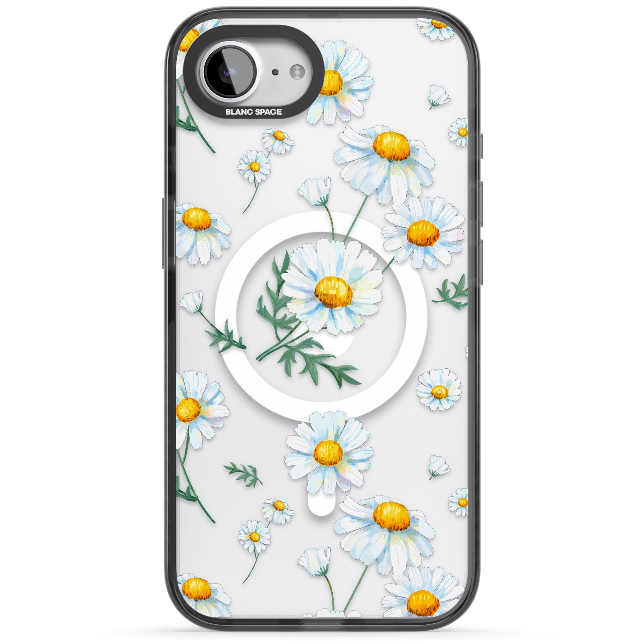 Vintage Painted Daisies