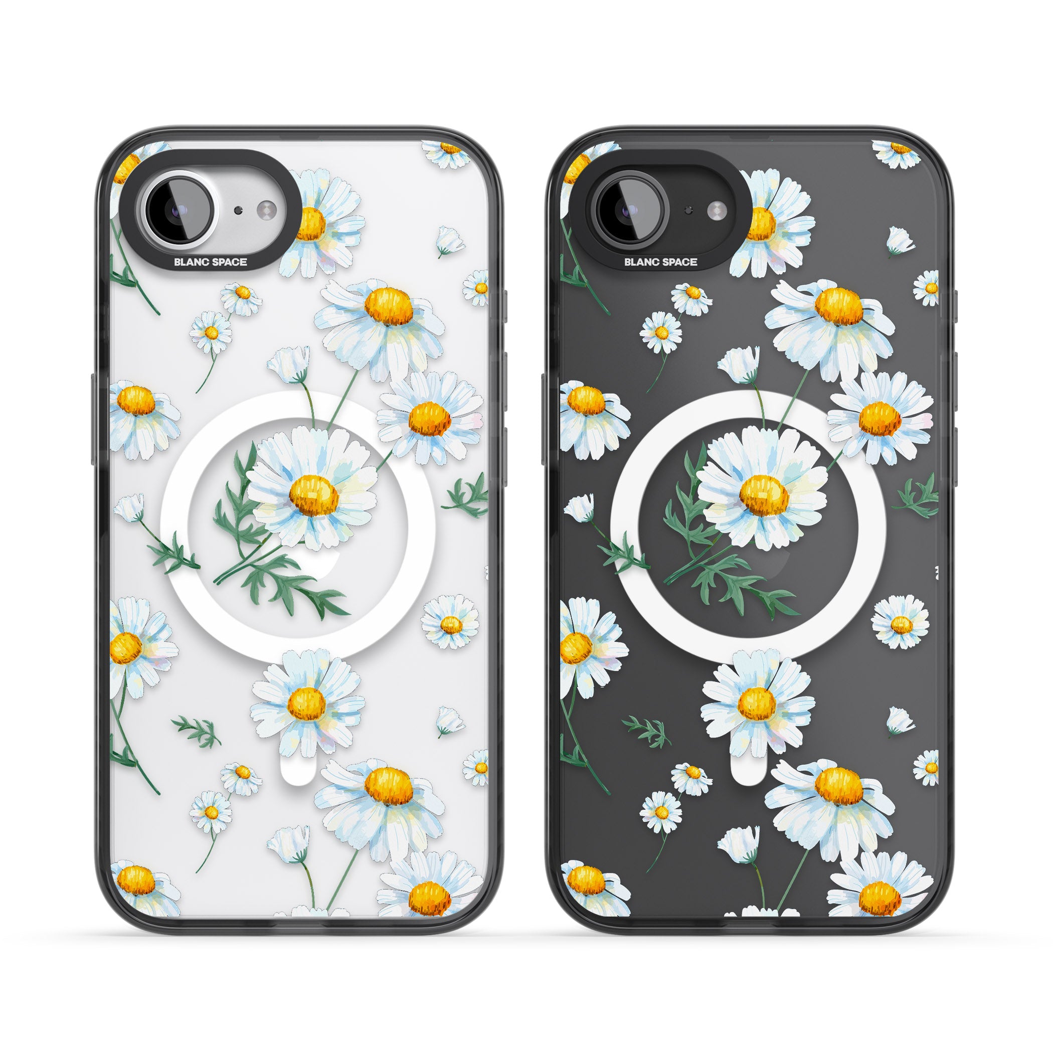 Vintage Painted Daisies