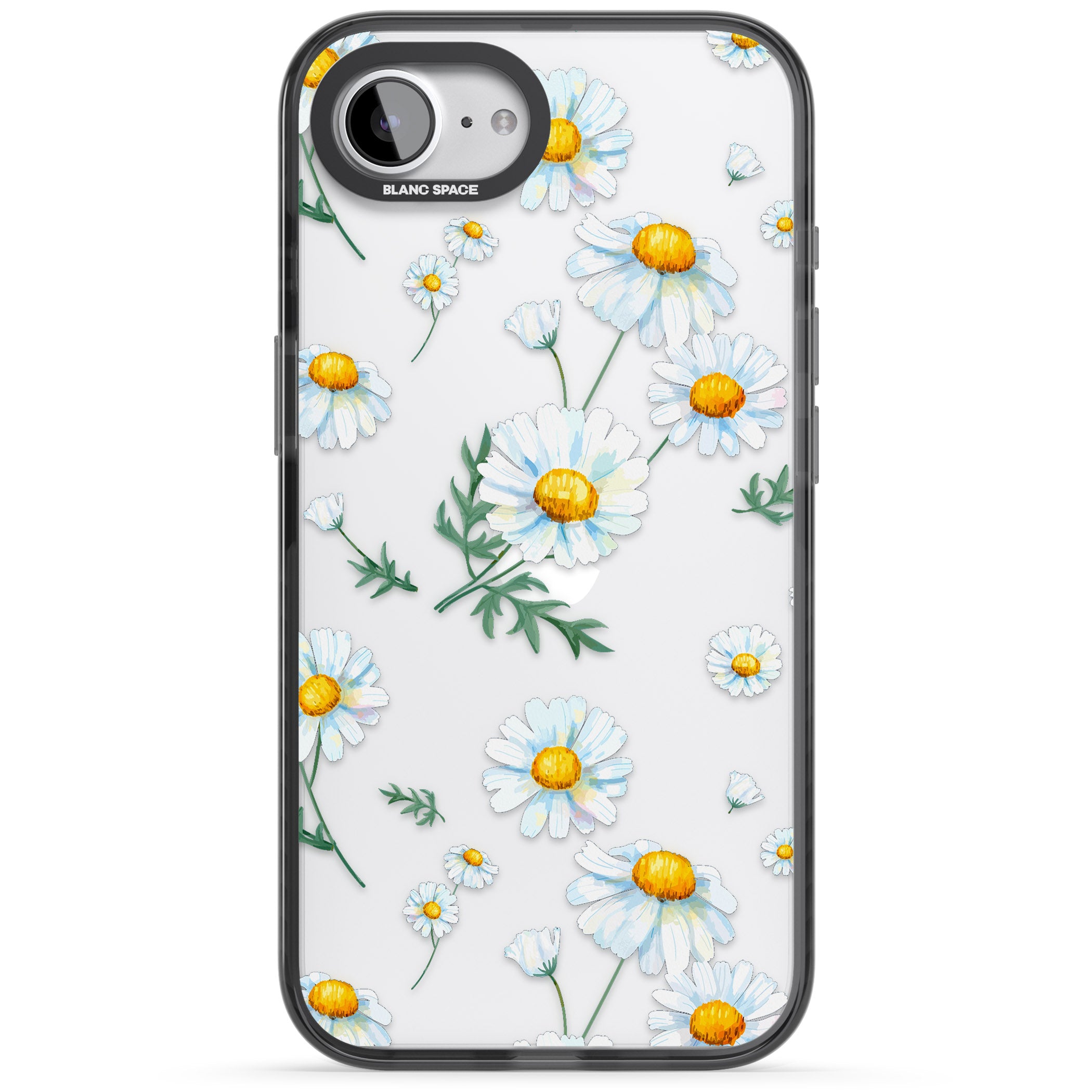 Vintage Painted Daisies