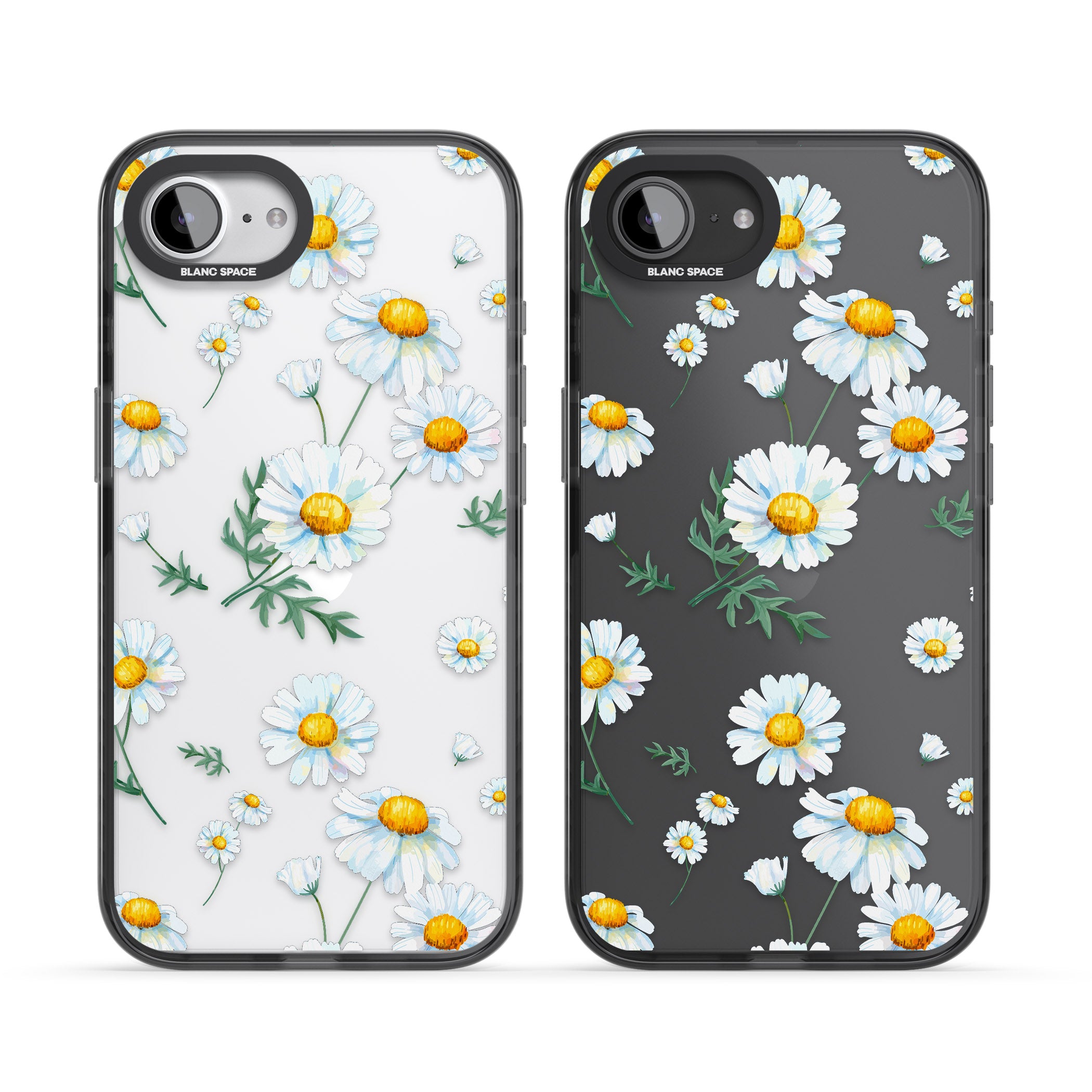 Vintage Painted Daisies