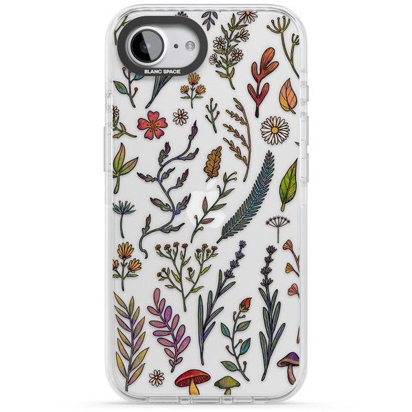 Autumn Wildflowers