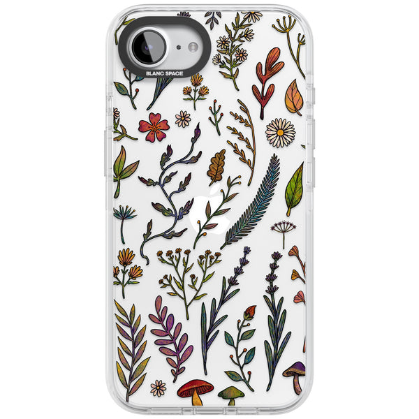 Autumn Wildflowers
