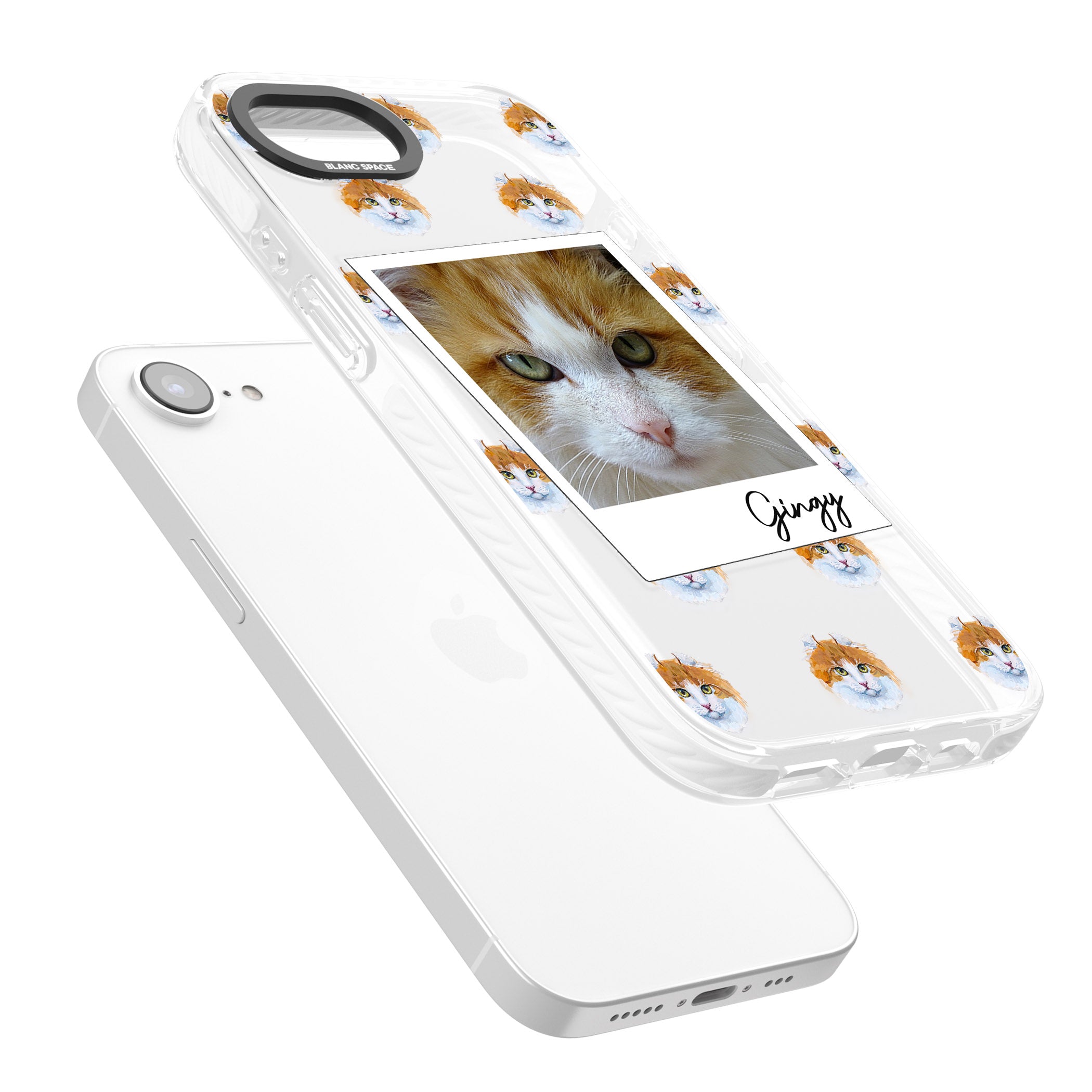 Personalised American Curl Photo