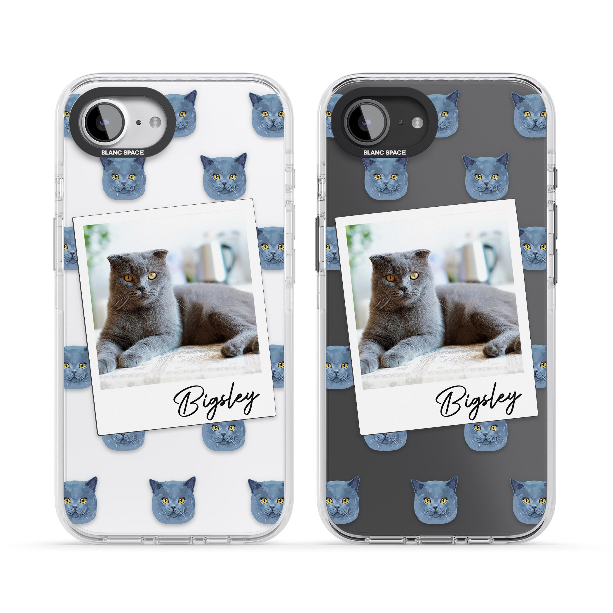 Personalised English Blue Cat Photo