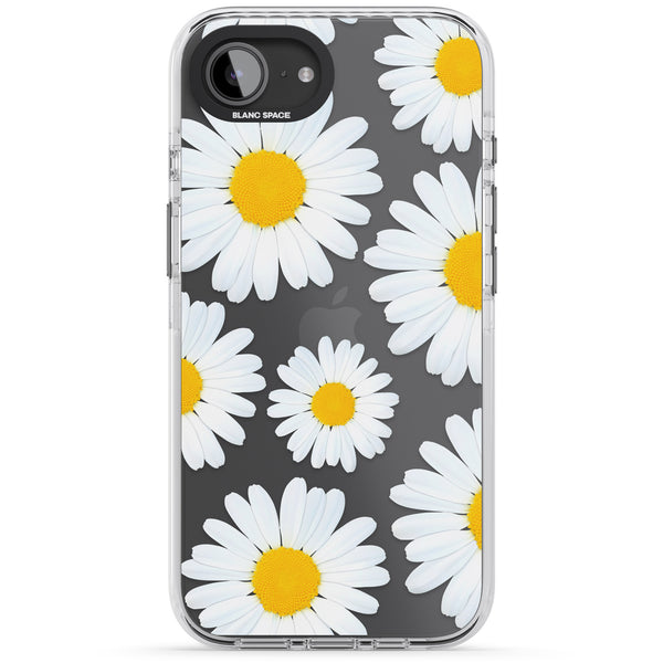 Summer Daisy