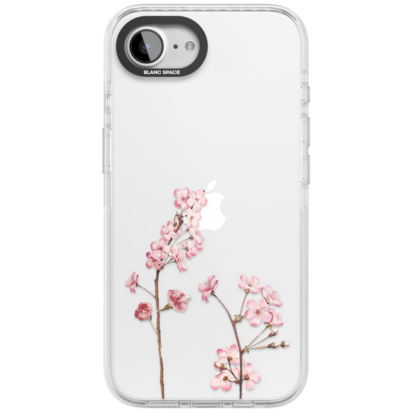 Blossom Flower