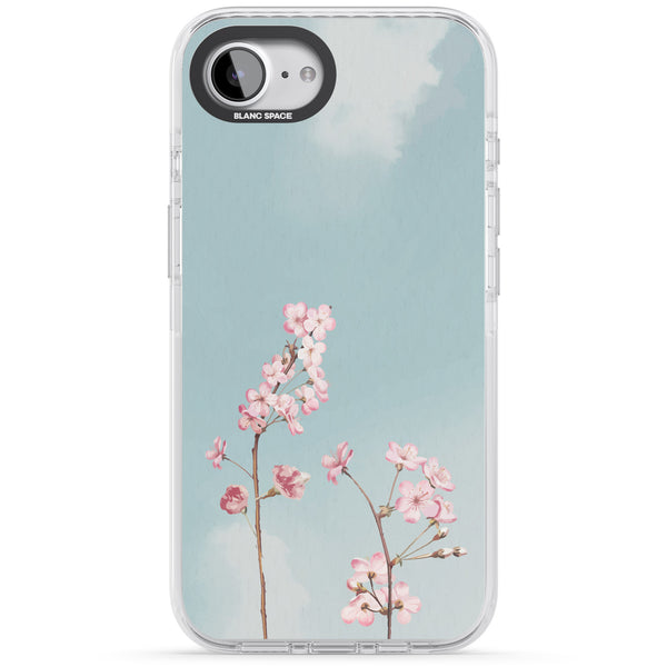 Blossom Flower Sky