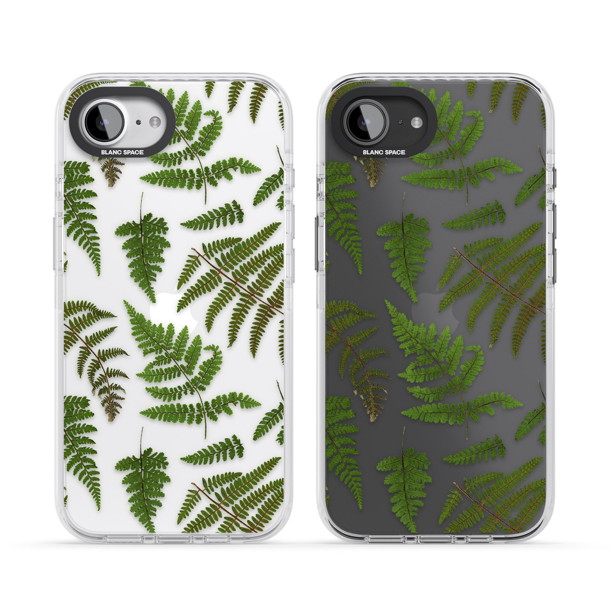 Leafy Ferns