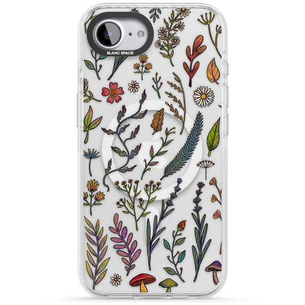 Autumn Wildflowers