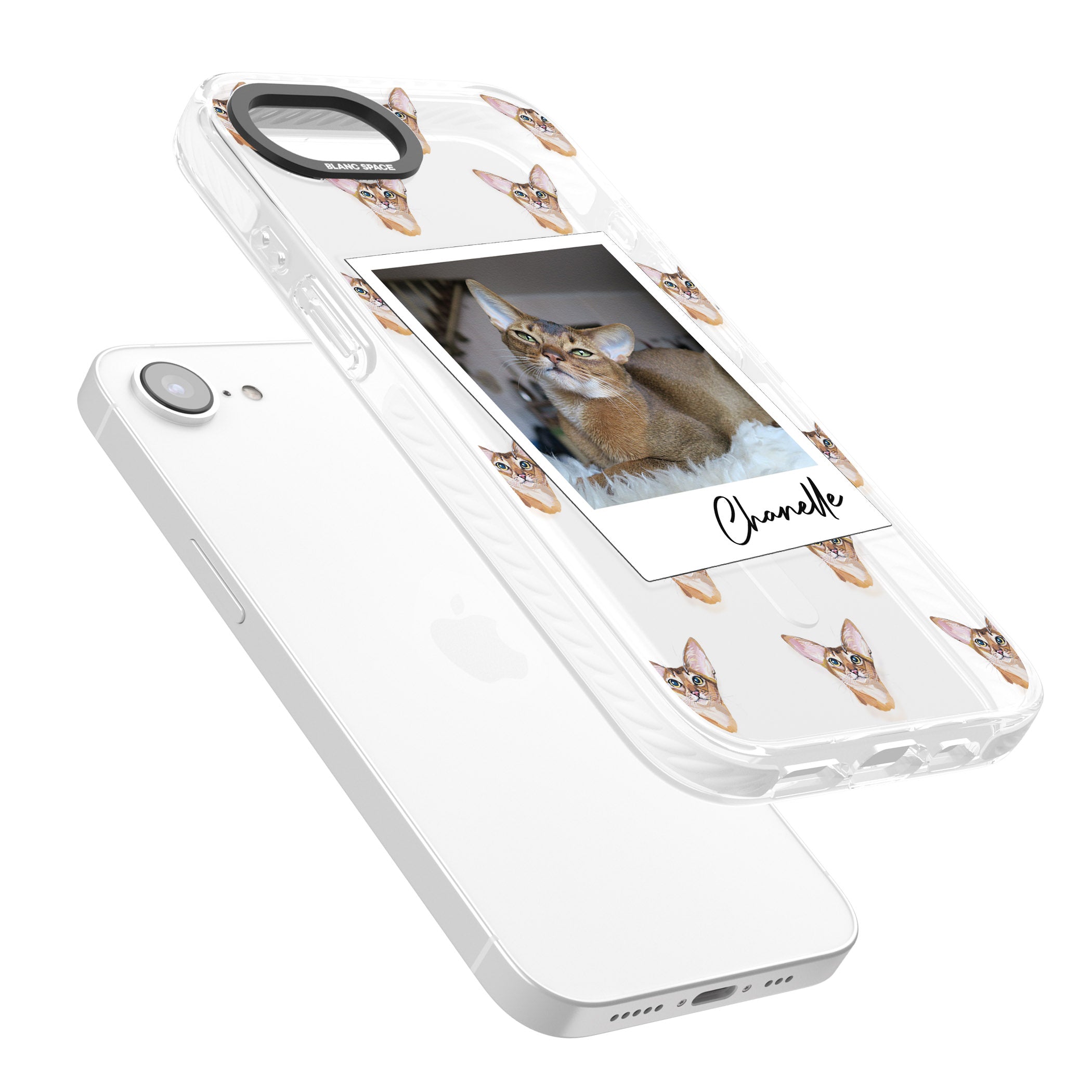 Personalised Abyssinian Cat Photo