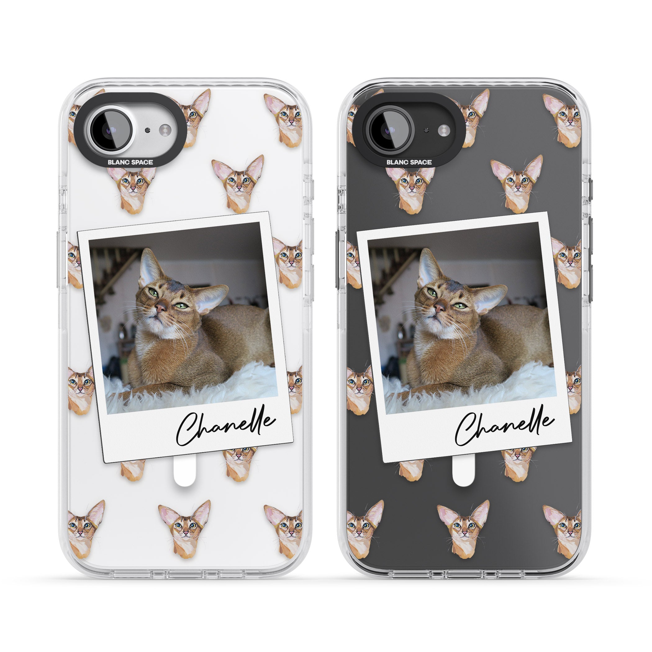 Personalised Abyssinian Cat Photo