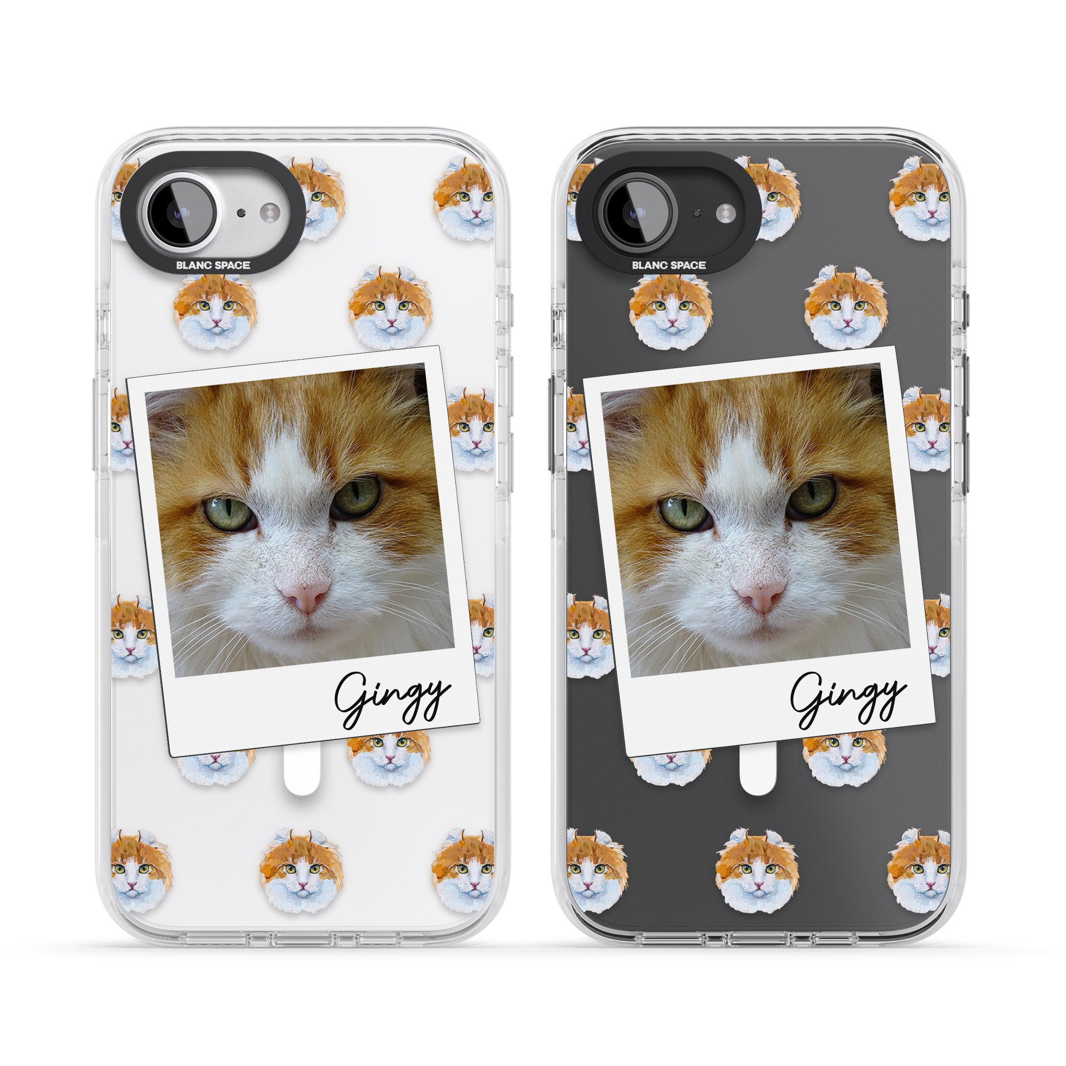 Personalised American Curl Photo