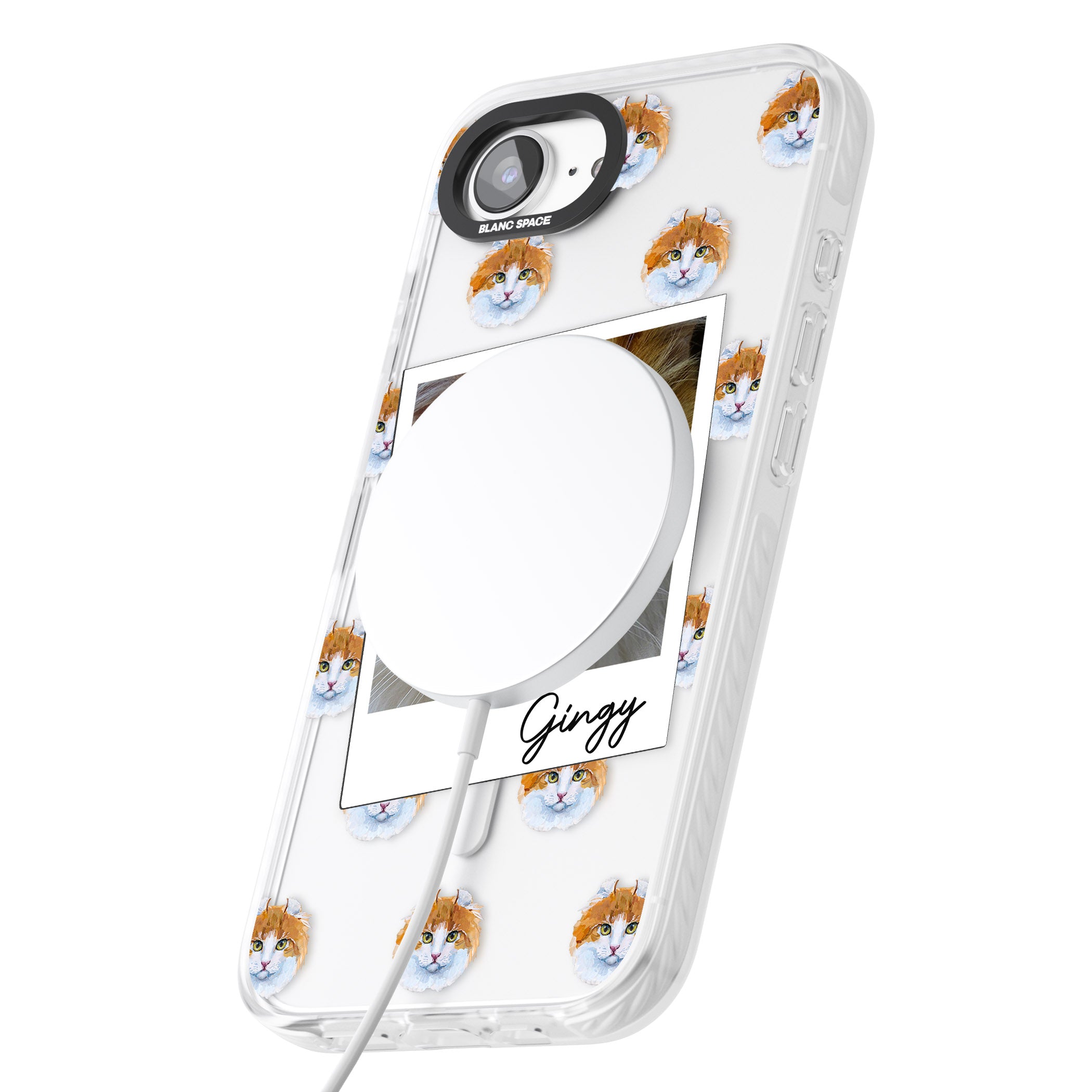 Personalised American Curl Photo