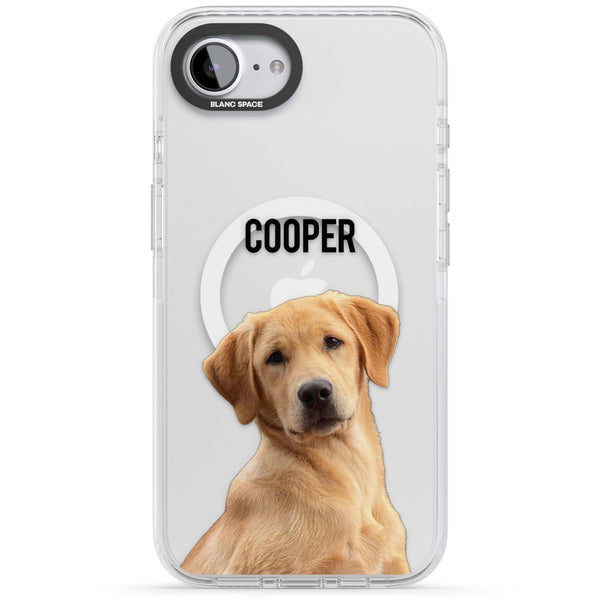 Personalised Pet Cutout & Name