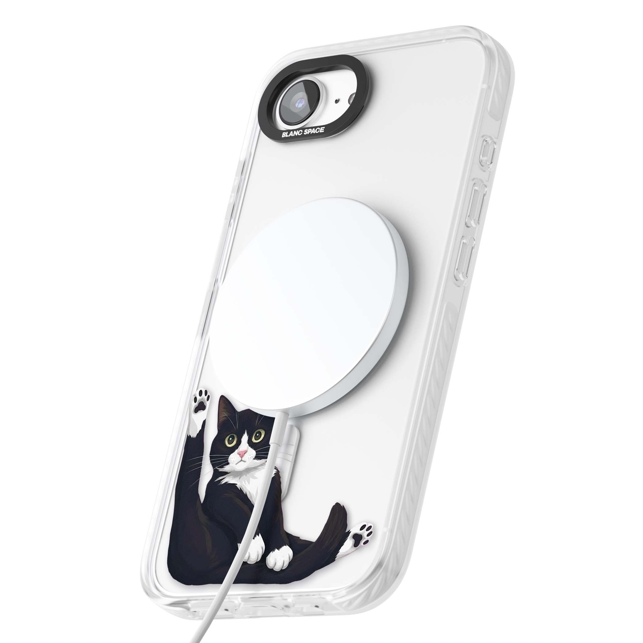 Mid-Groom Cat animals iPhone case | Impact Magsafe case for iPhone 16e, iPhone 17e