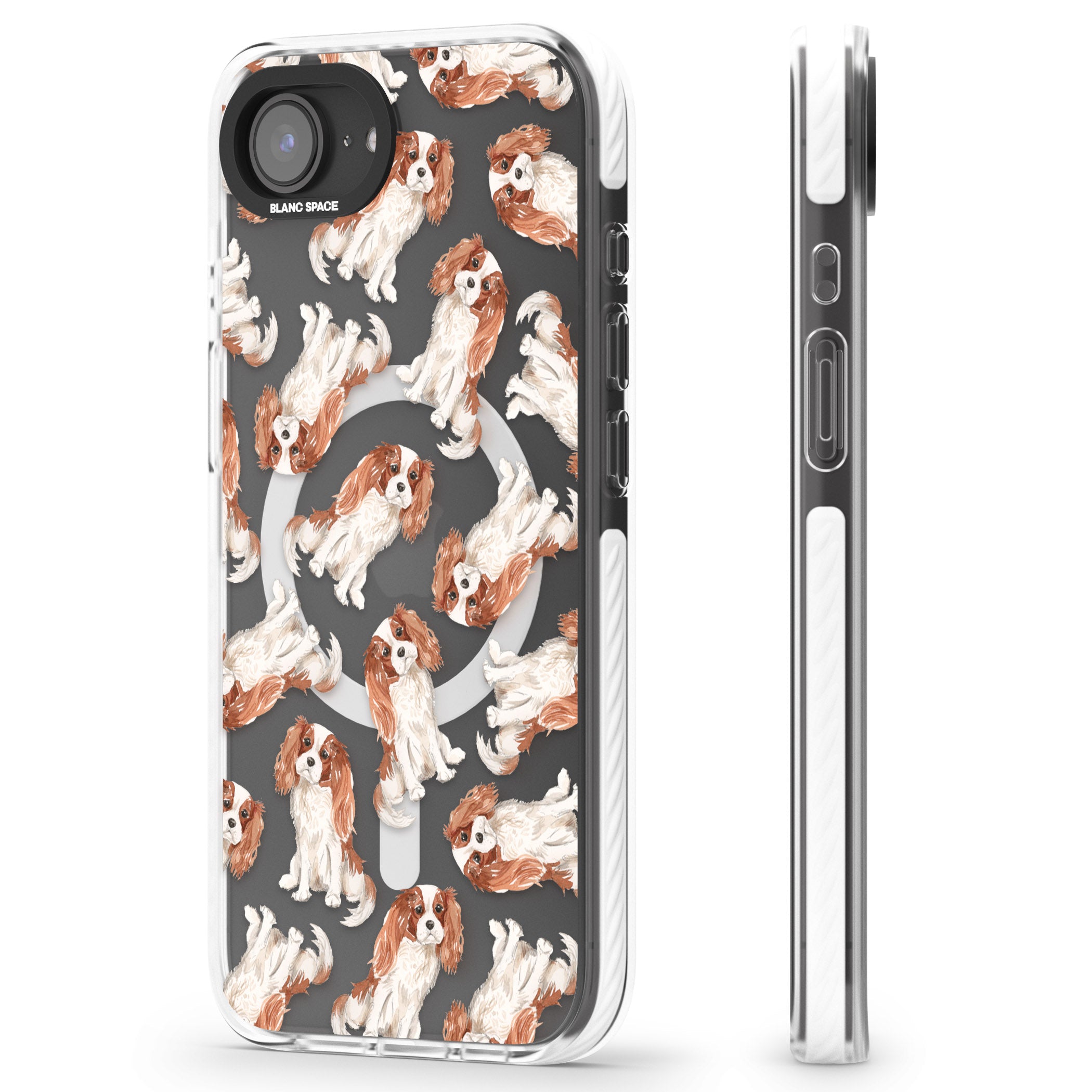 Cavalier King Charles Spaniel