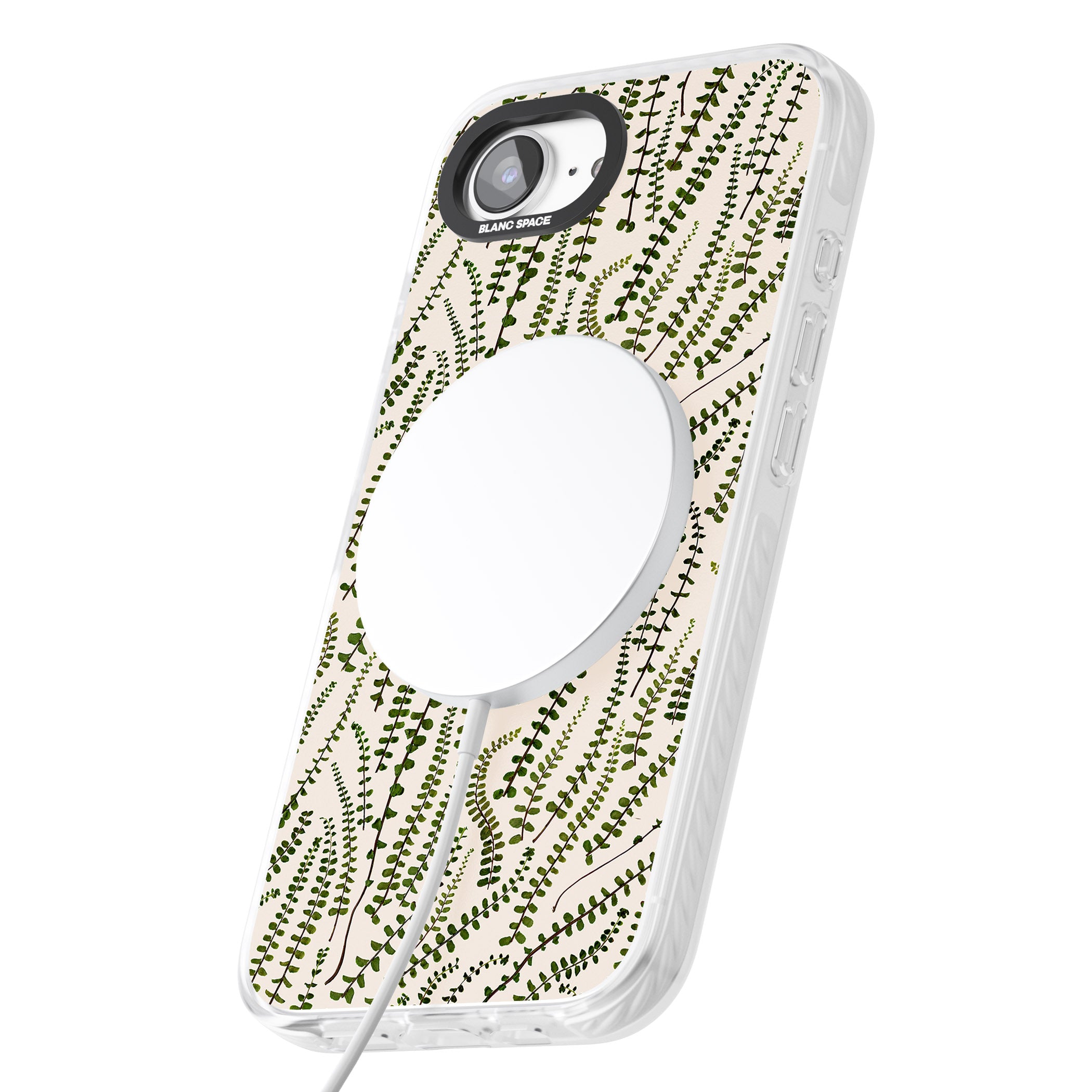 Fern Leaf Pattern