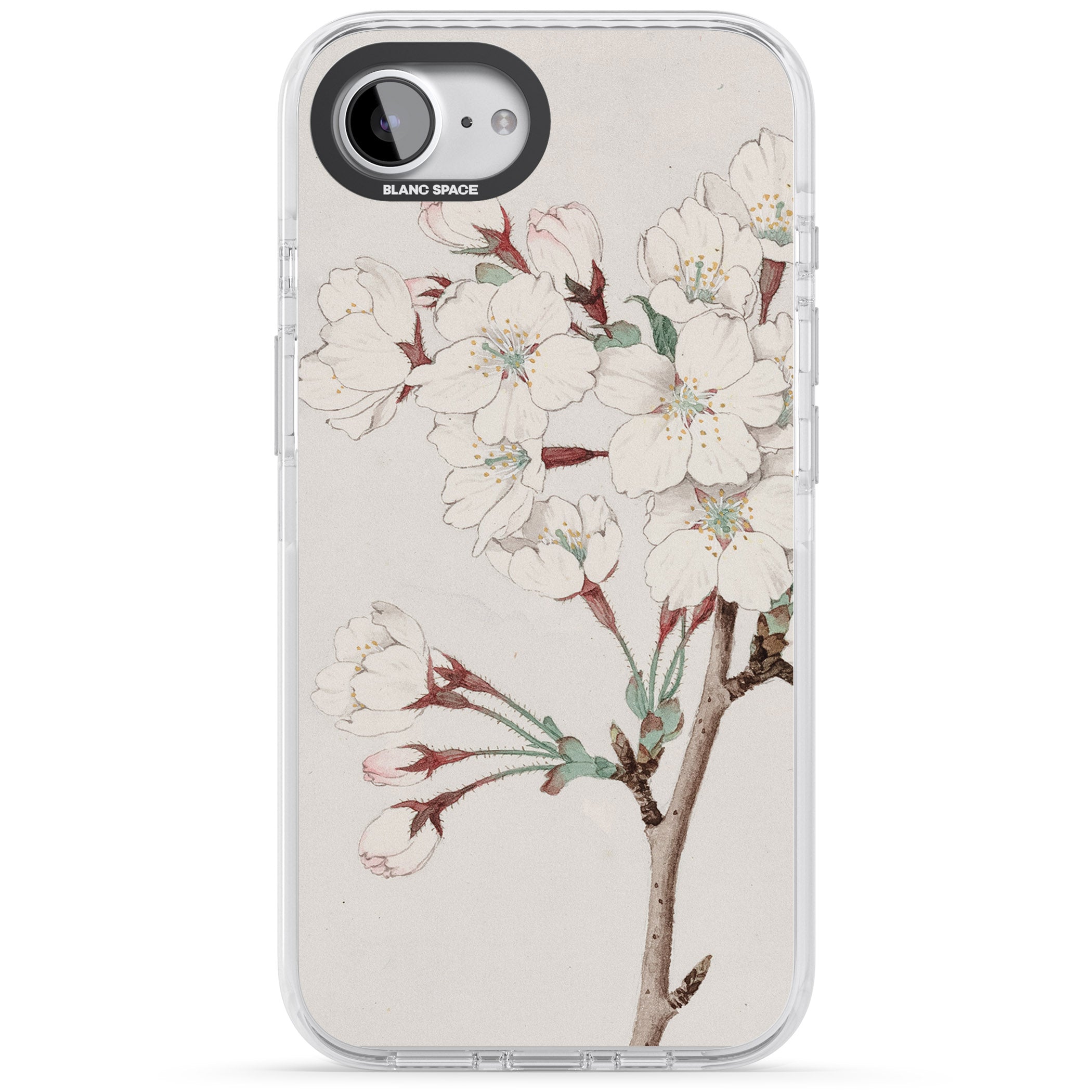 Vintage Japanese Illustrations Cherry Blossoms