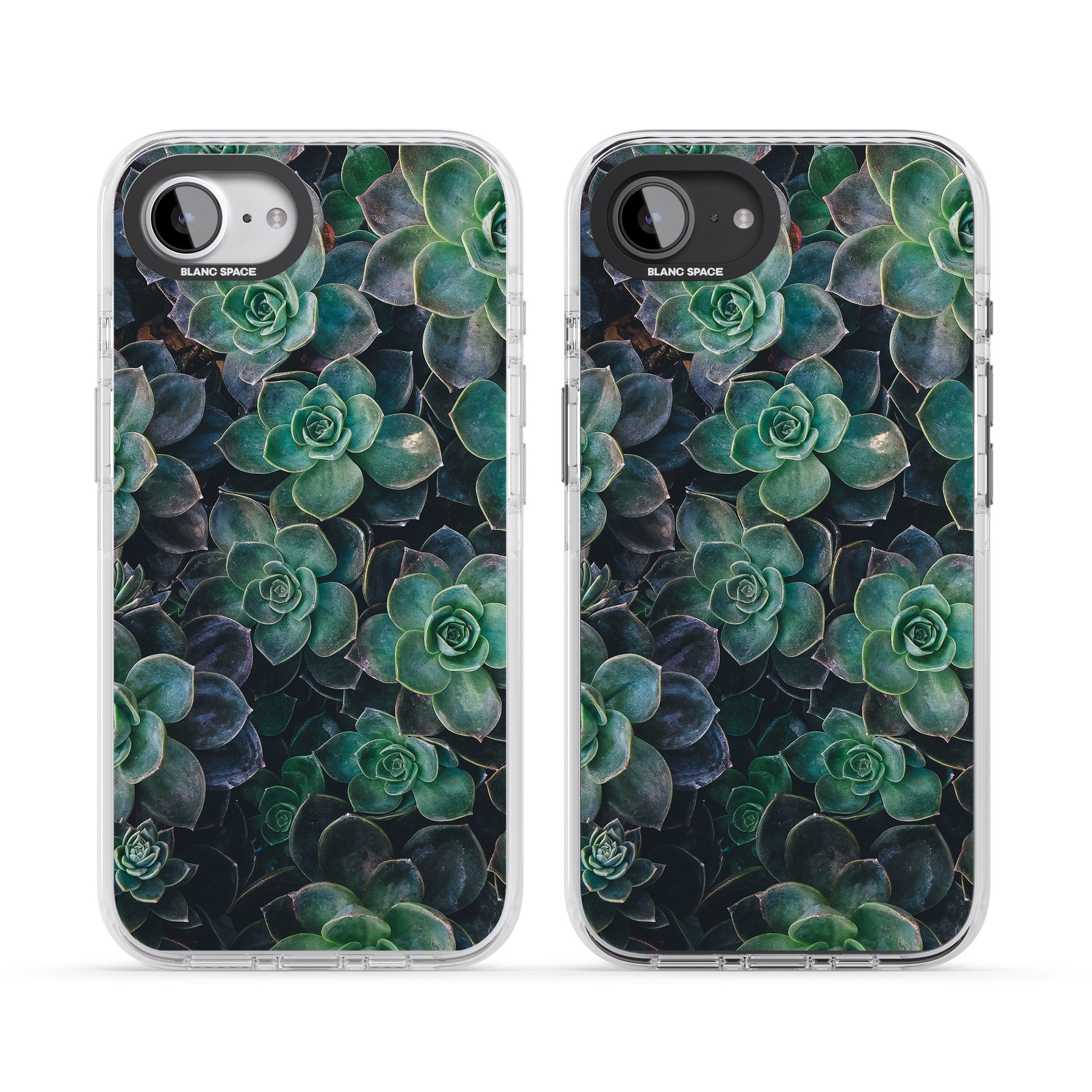 Succulent Bloom Botanical