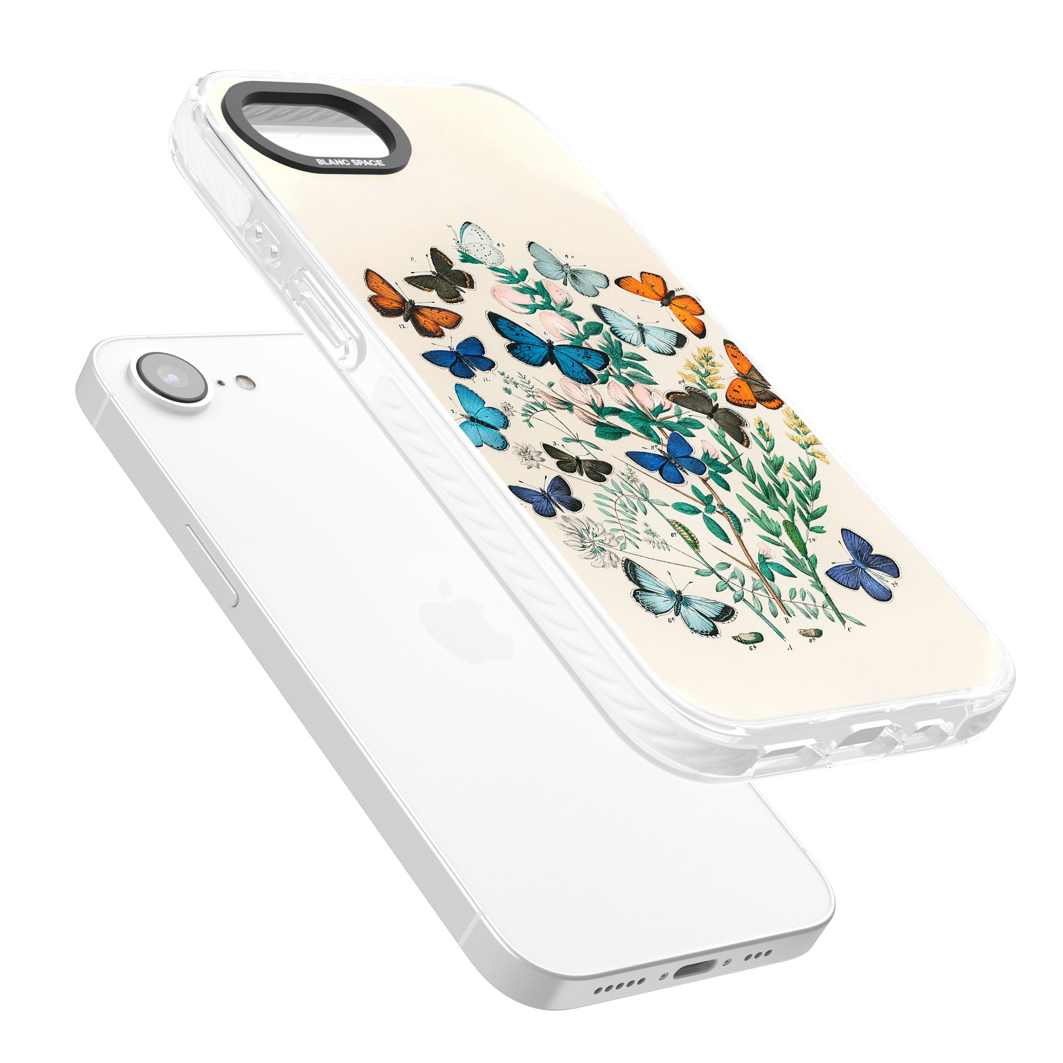 European Butterflies