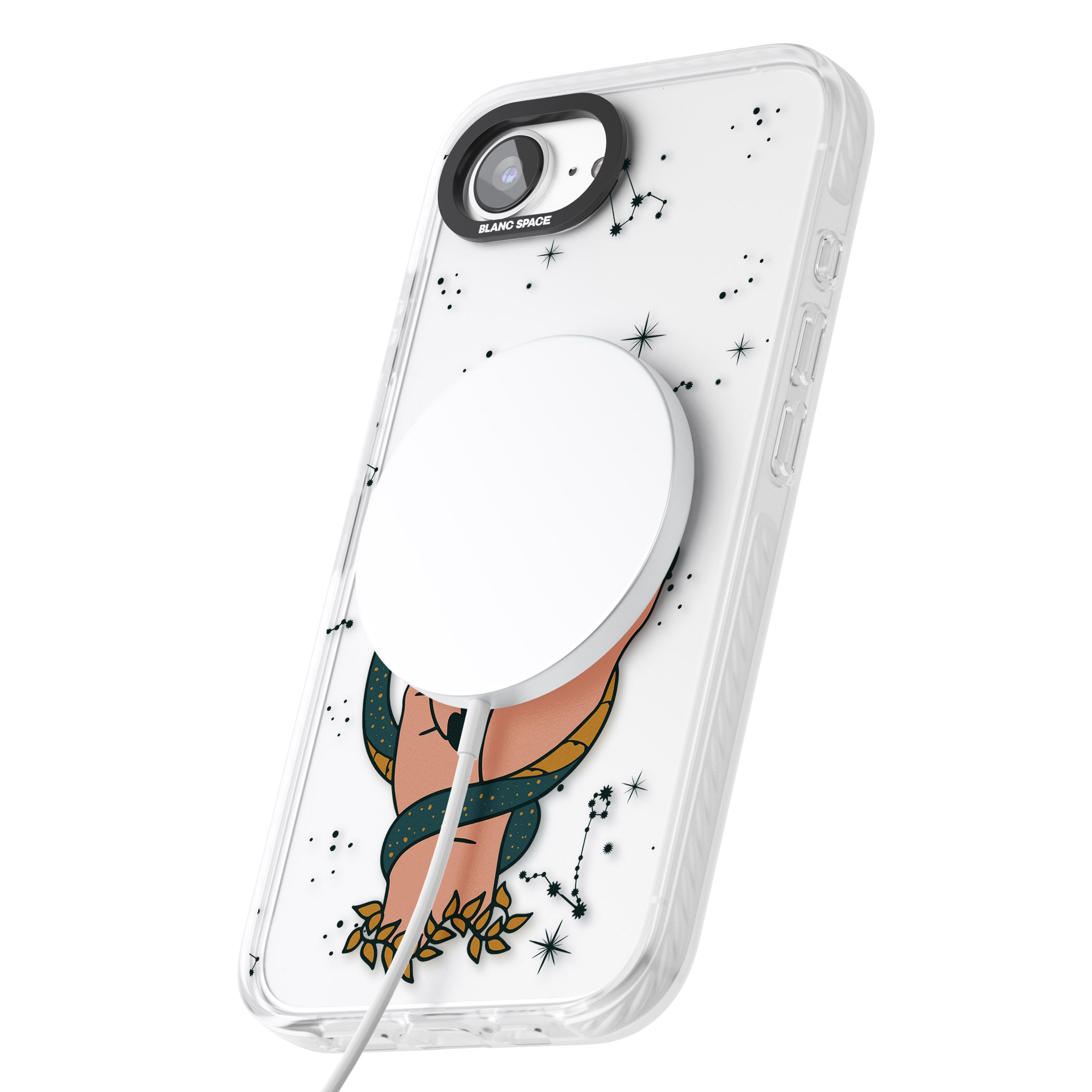 Snakes, Stars And Cynicism