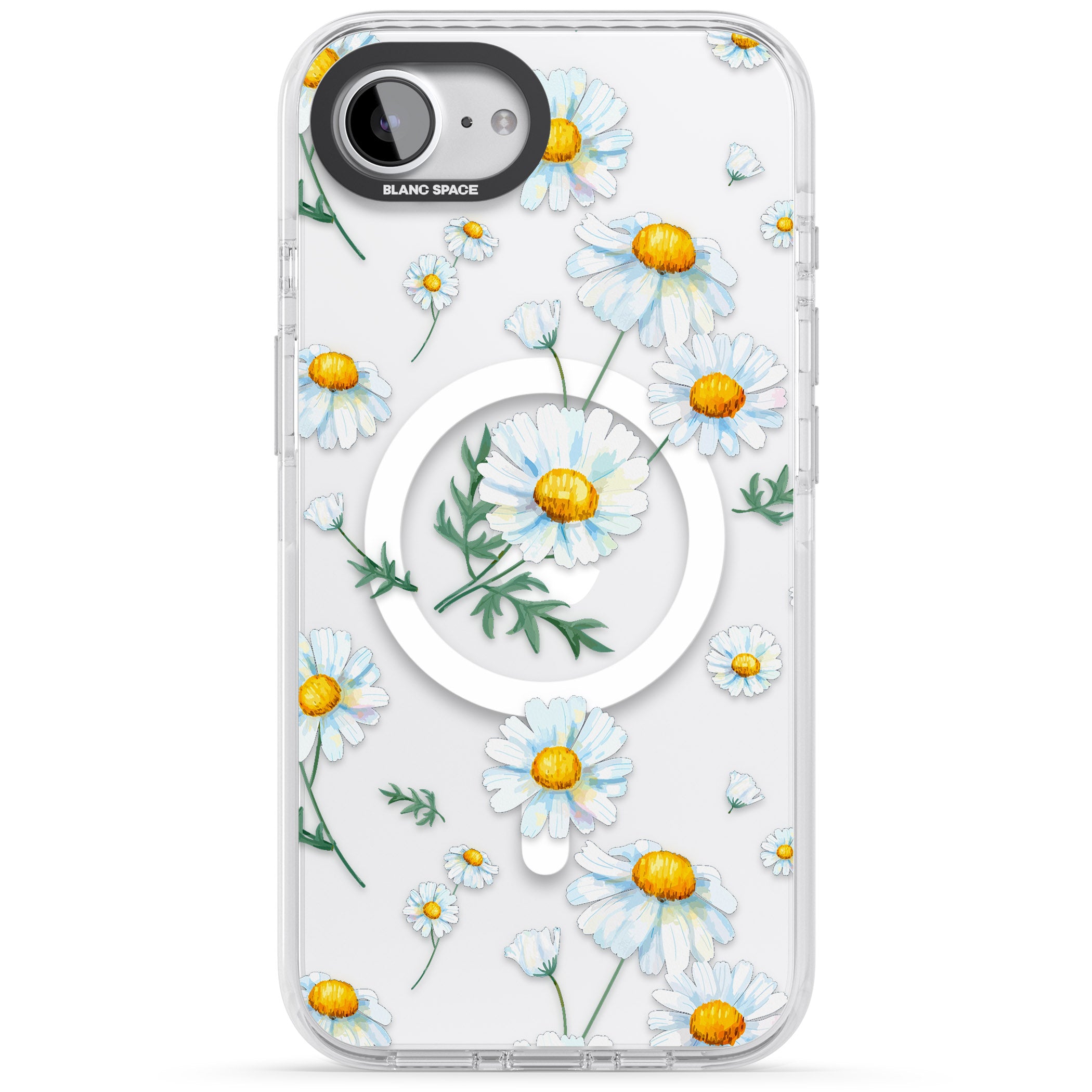 Vintage Painted Daisies