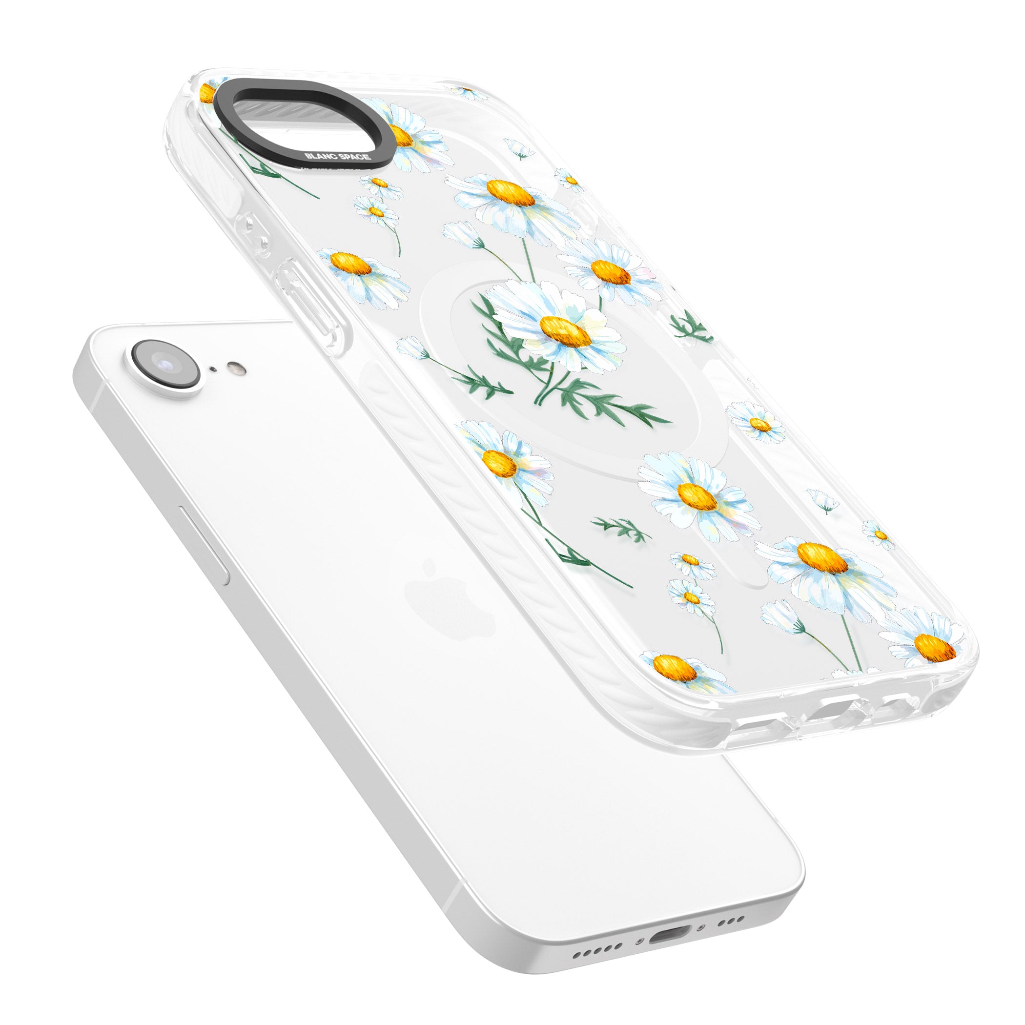 Vintage Painted Daisies