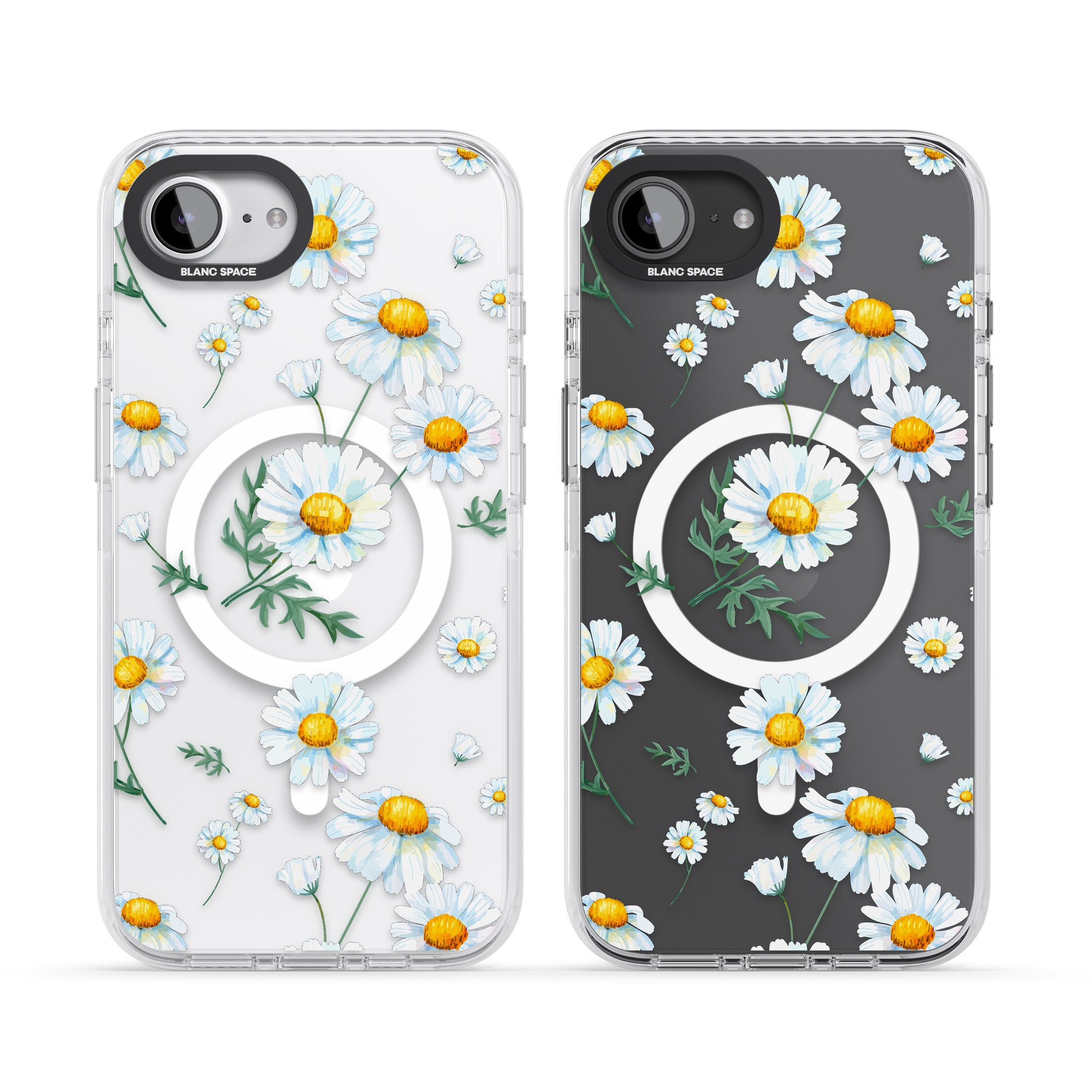 Vintage Painted Daisies