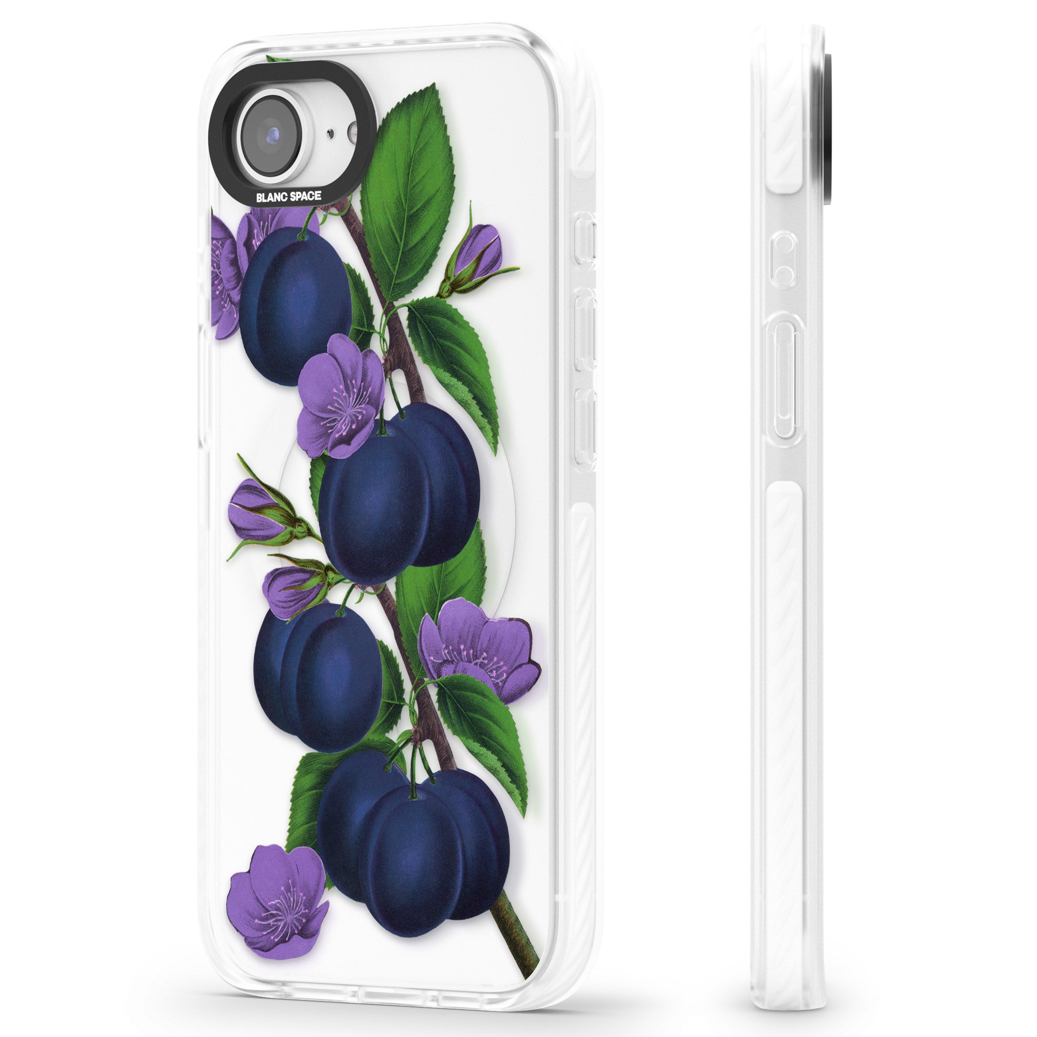 Vintage Painted Plums