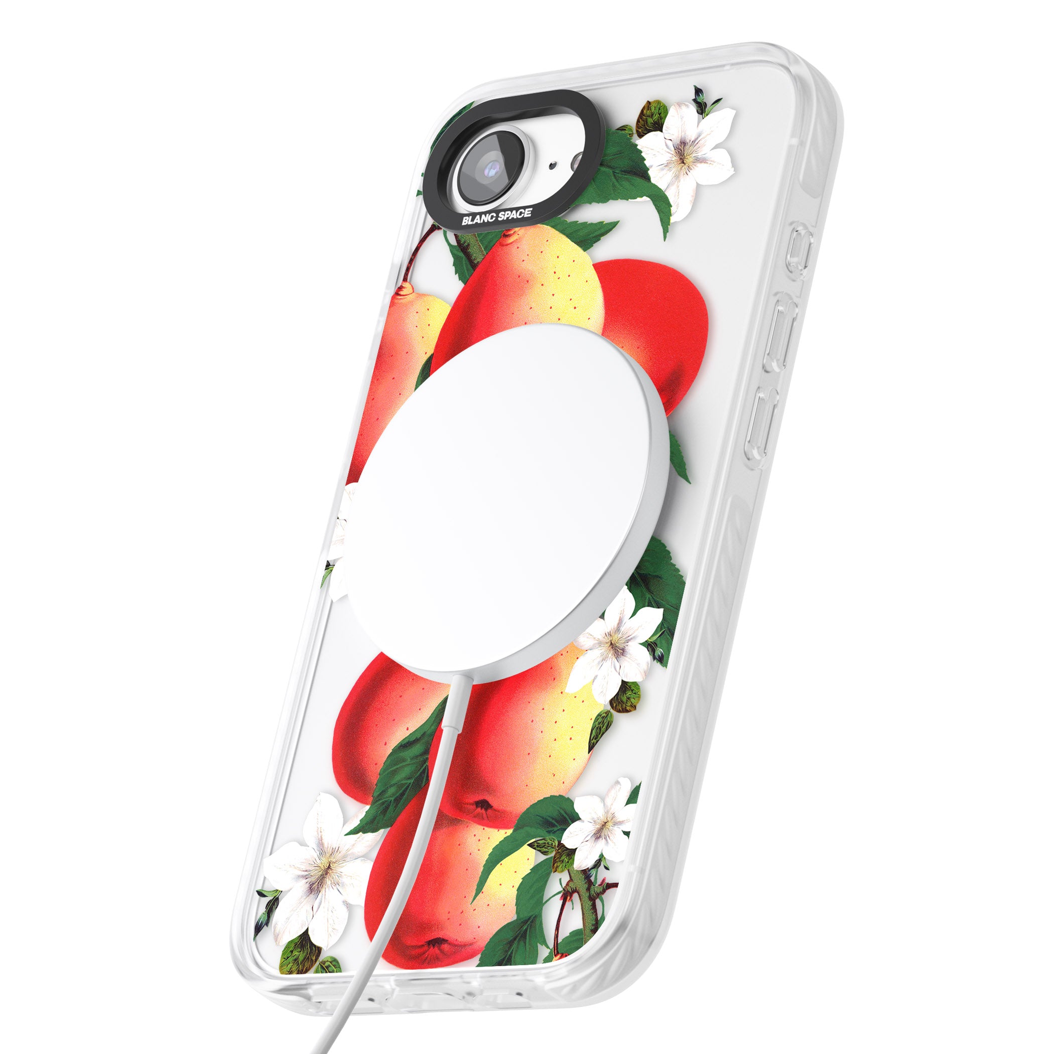 Vintage Painted Peaches