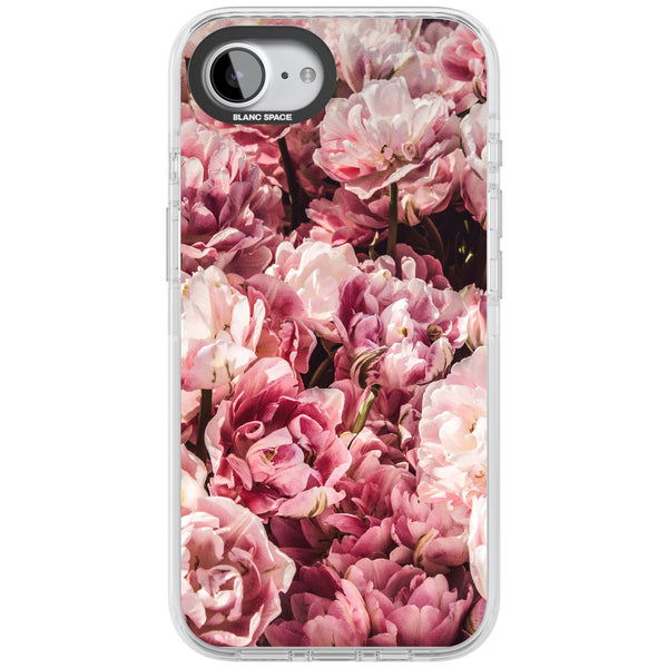 Peony Dream