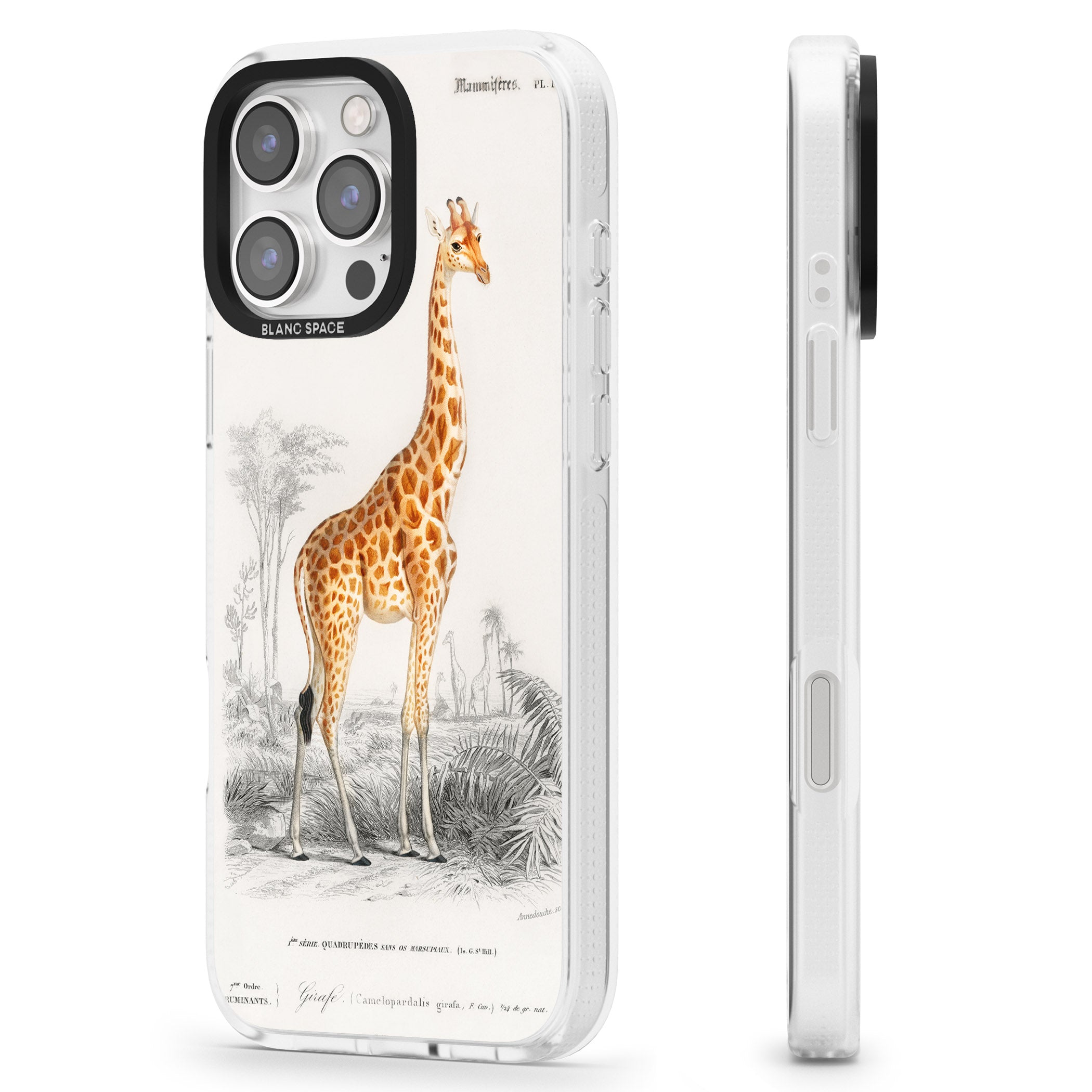 Vintage Giraffe Art iPhone 16 Pro Max / 16 Pro Clear Case Impact Air - Blanc Space