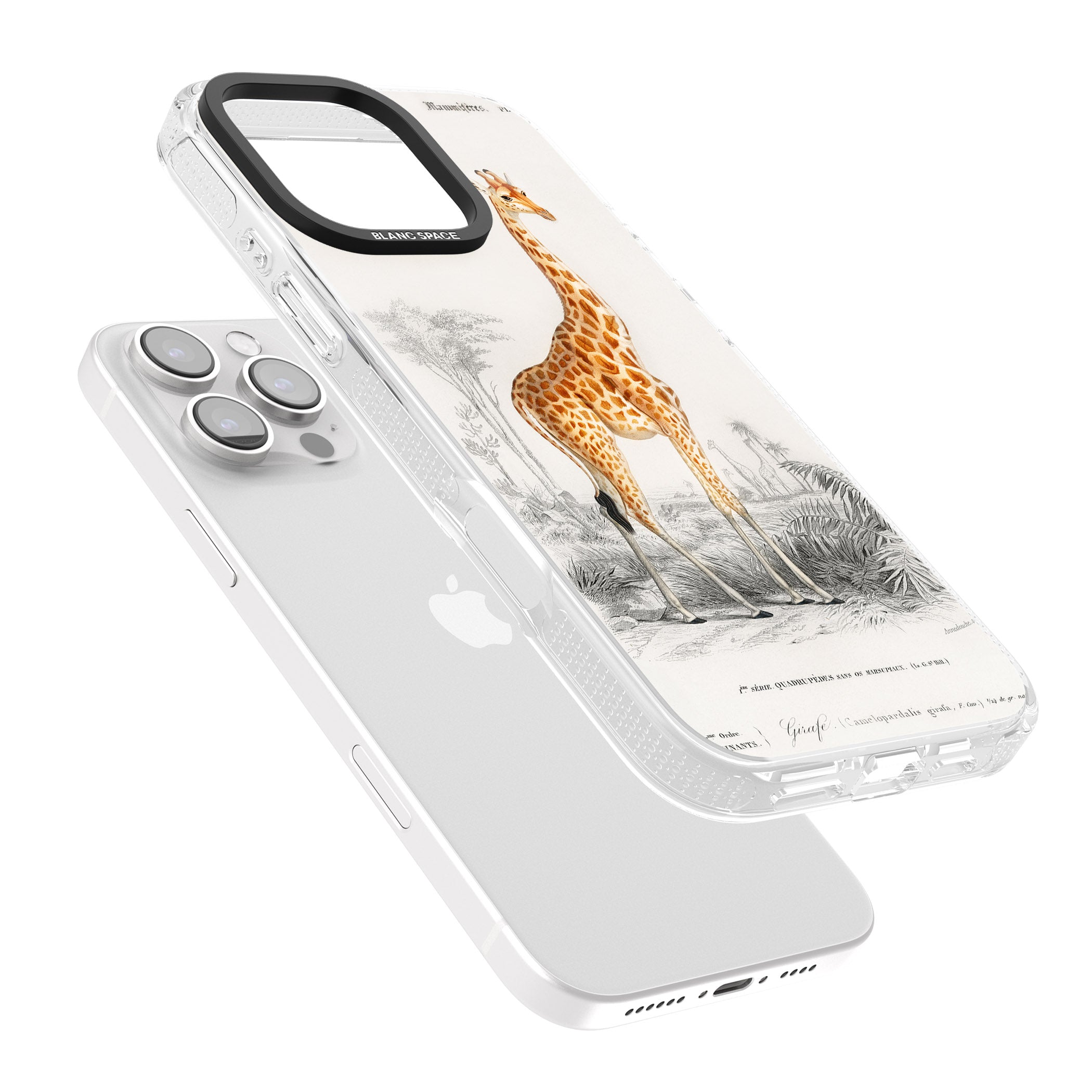 Vintage Giraffe Art iPhone 16 Pro Max / 16 Pro Clear Case Impact Air - Blanc Space