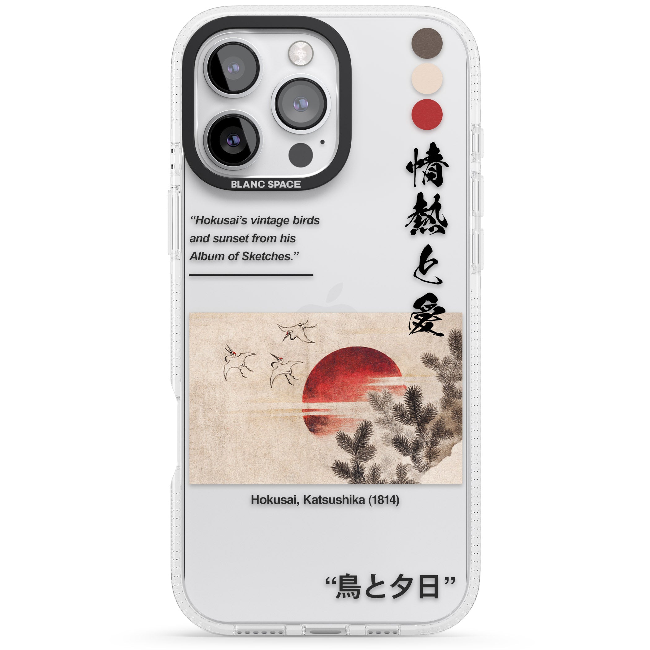 Birds and Sunset iPhone 16 Pro Max / 16 Pro Clear Case Impact Air - Blanc Space