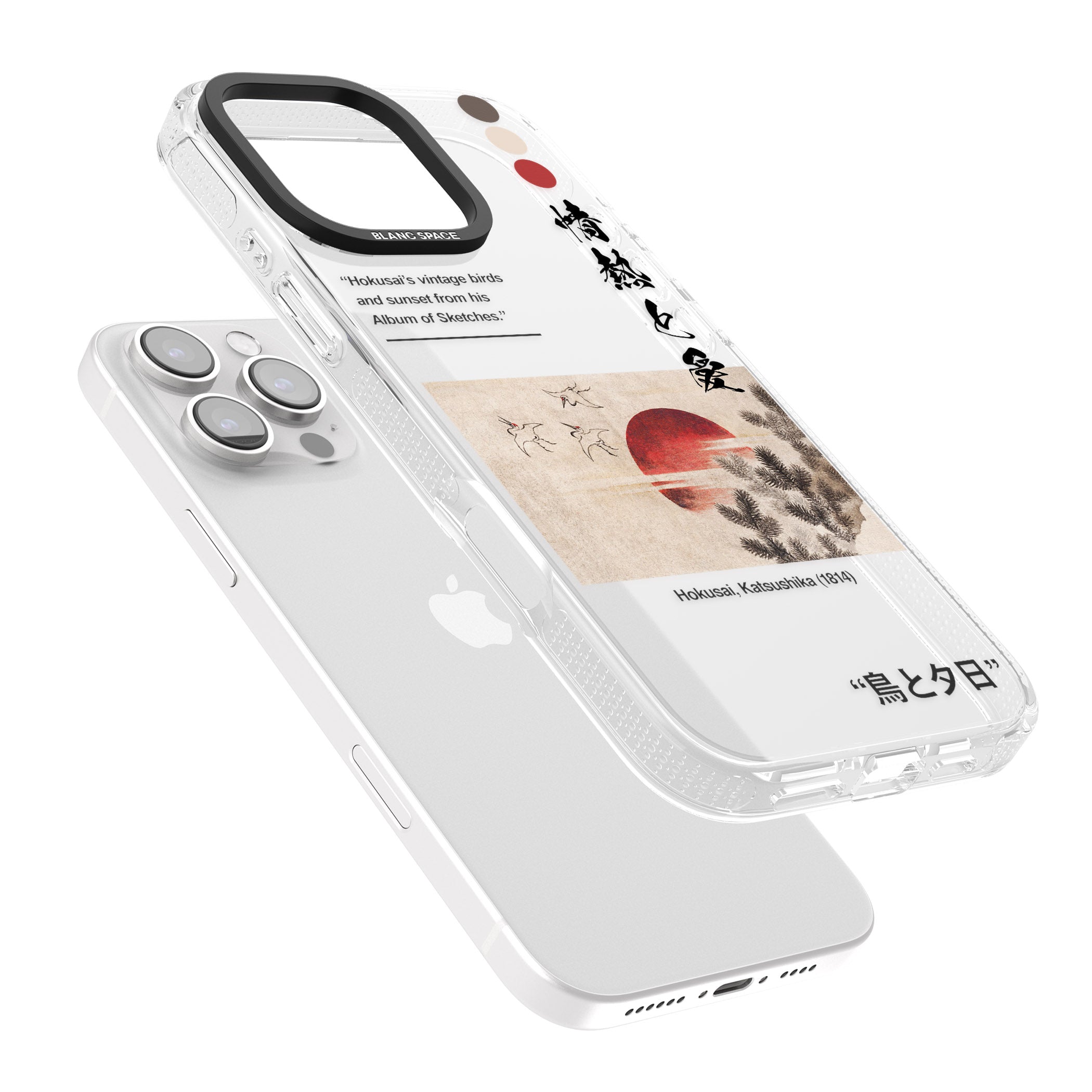 Birds and Sunset iPhone 16 Pro Max / 16 Pro Clear Case Impact Air - Blanc Space