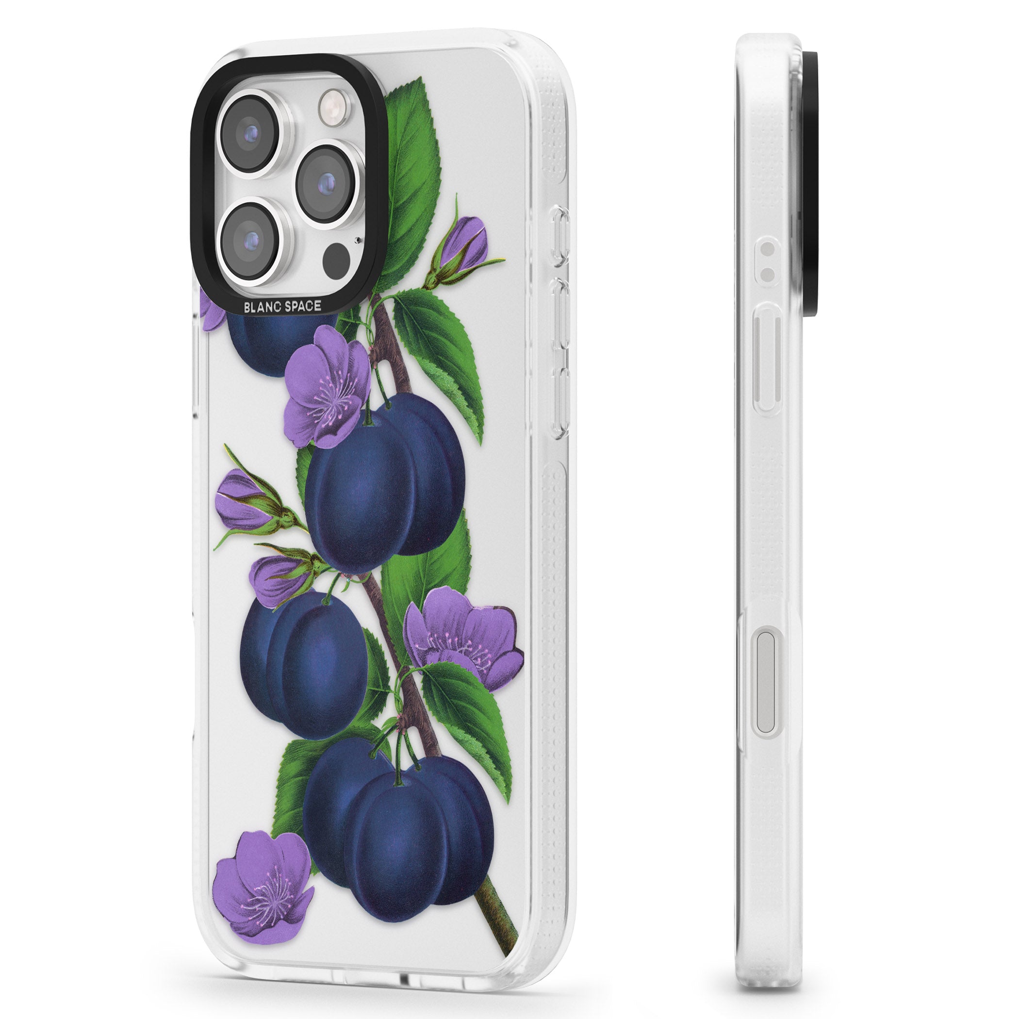 Vintage Painted Plums iPhone 16 Pro Max / 16 Pro Clear Case Impact Air - Blanc Space