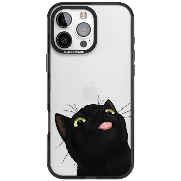 Black Cat Energy