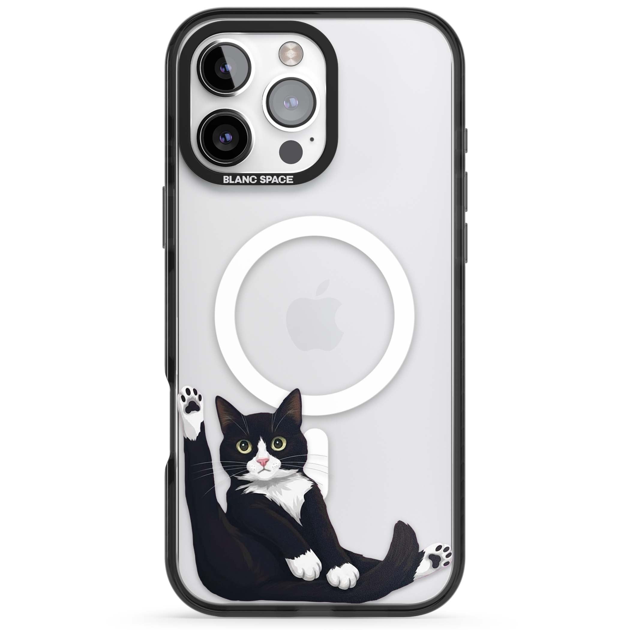 Mid-Groom Cat animals iPhone case | Black Impact Magsafe case for iPhone 16 Pro, iPhone 16 Pro Max