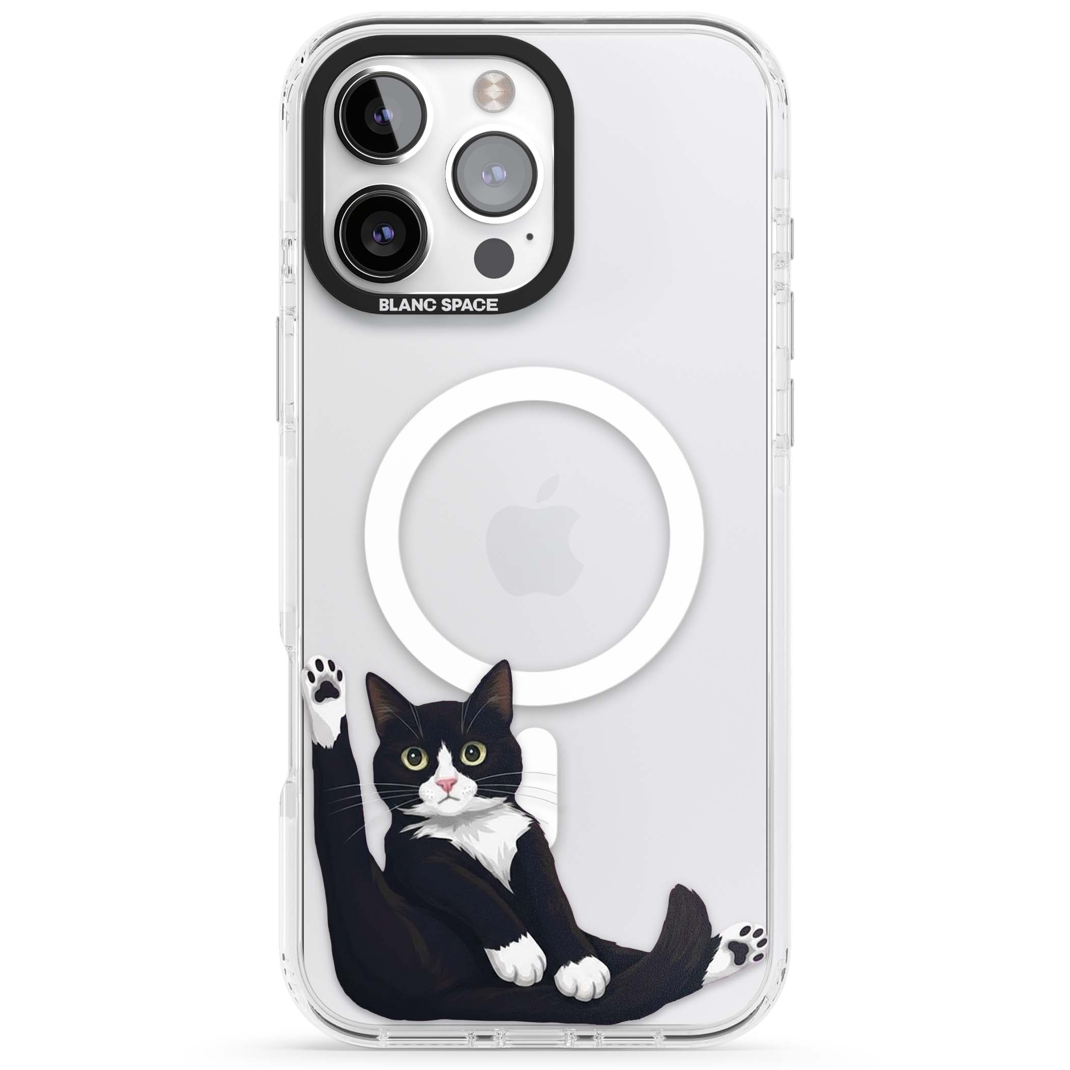 Mid-Groom Cat animals iPhone case | Impact Magsafe case for iPhone 16 Pro, iPhone 16 Pro Max