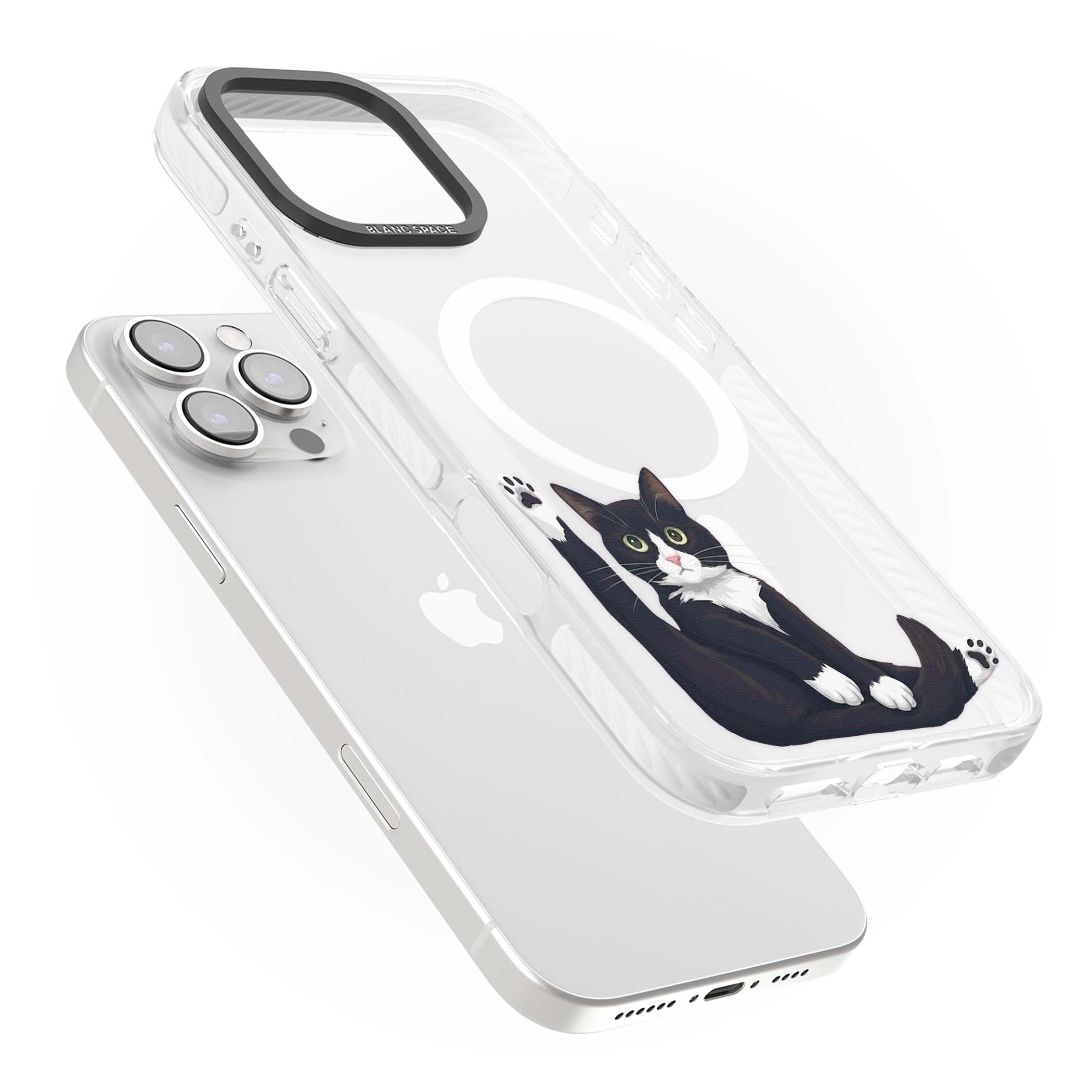 Mid-Groom Cat animals iPhone case | Impact Magsafe case for iPhone 16 Pro, iPhone 16 Pro Max