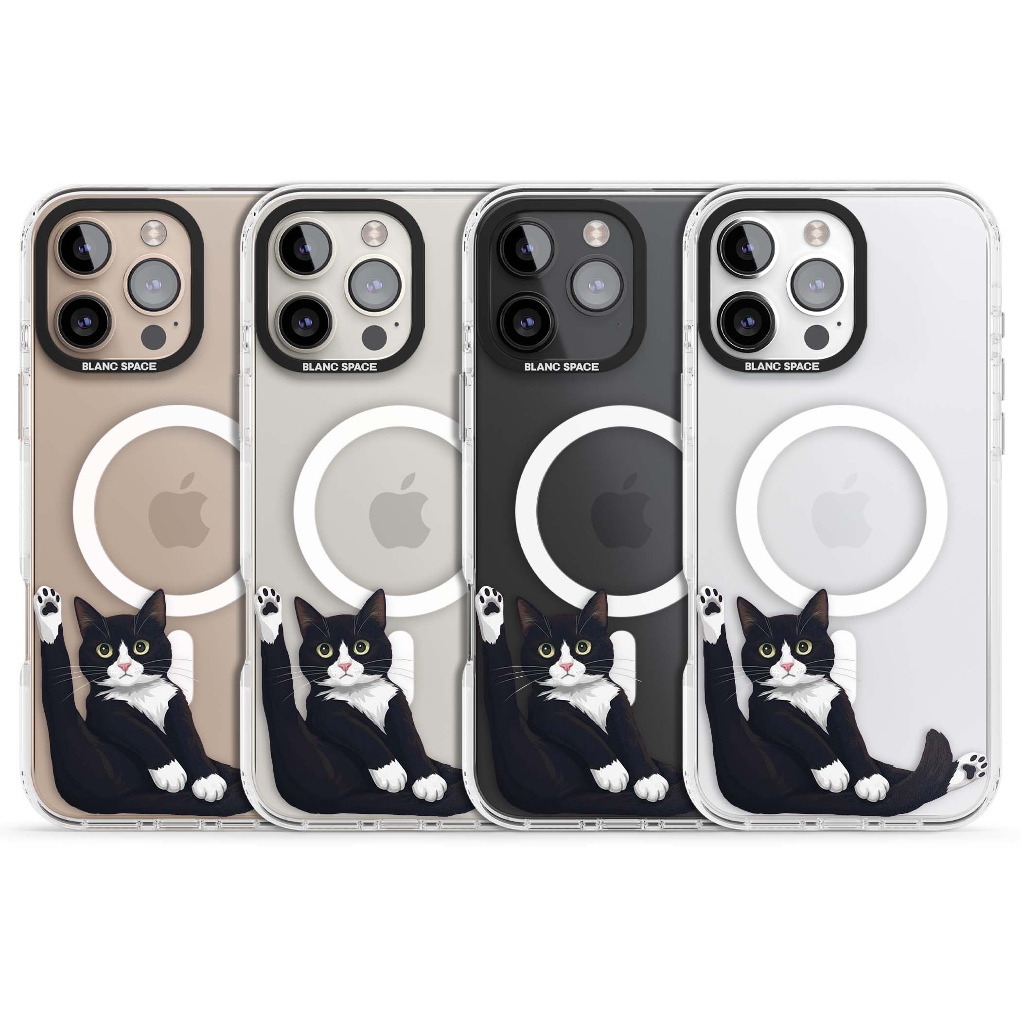 Mid-Groom Cat animals iPhone case | Impact Magsafe case for iPhone 16 Pro, iPhone 16 Pro Max