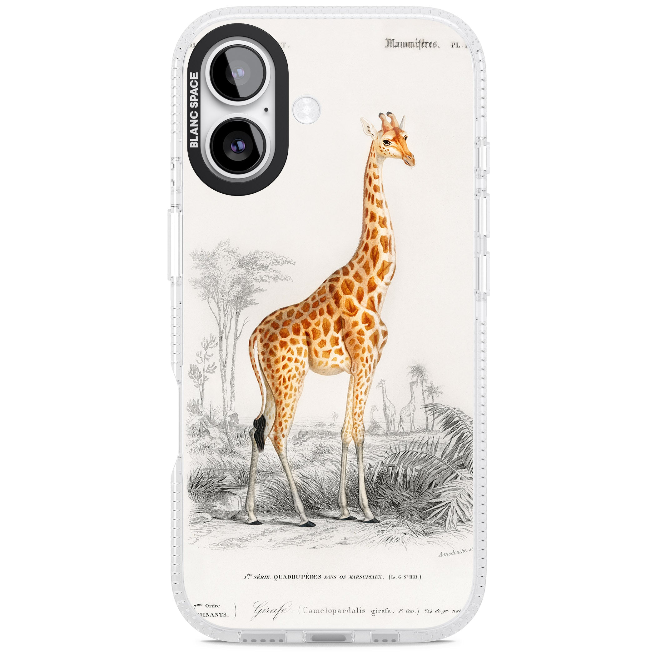 Vintage Giraffe Art iPhone 17 Impact Air Clear Phone Case