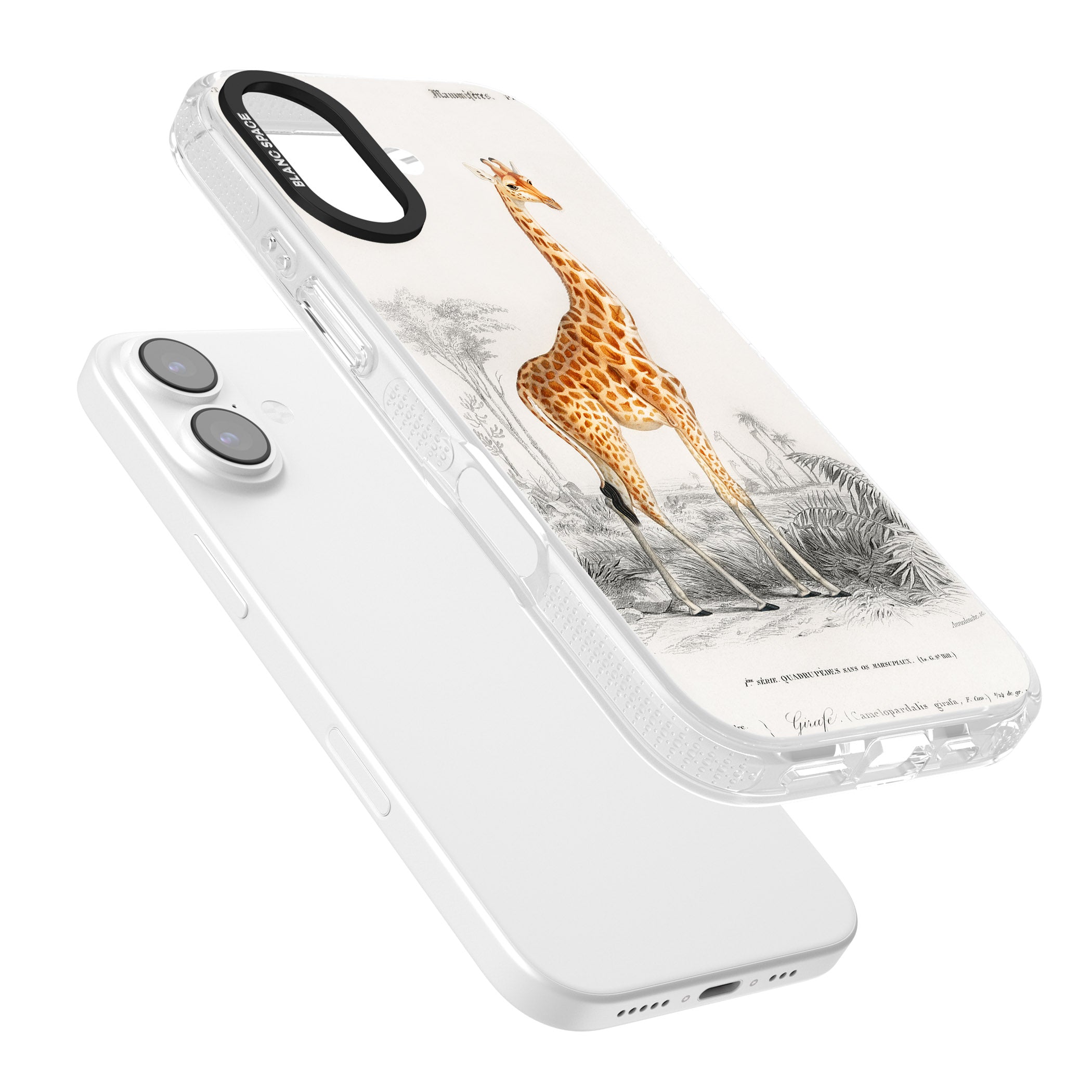 Vintage Giraffe Art iPhone 17 Impact Air Clear Phone Case Colours