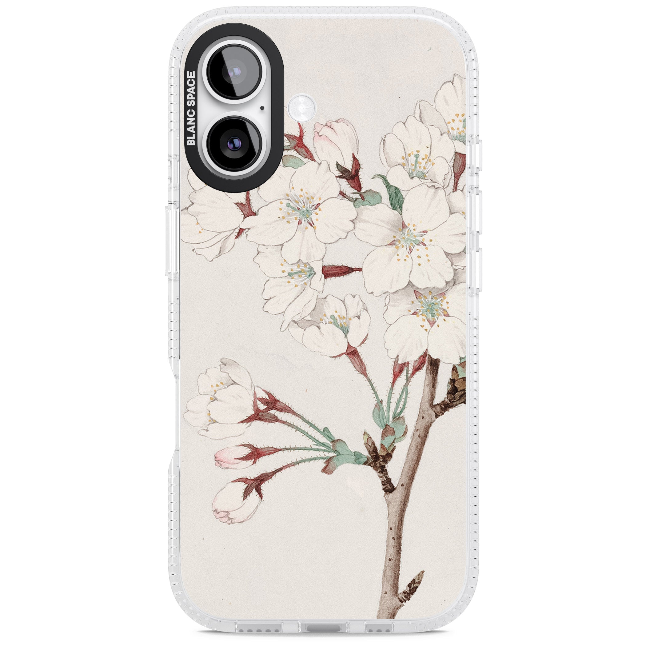 Vintage Japanese Illustrations Cherry Blossoms iPhone 17 Impact Air Clear Phone Case