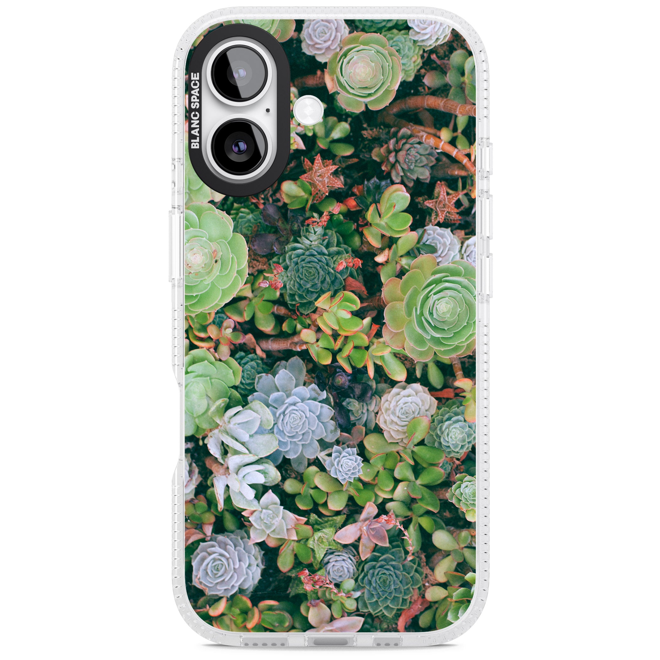 Succulent Garden iPhone 17 Impact Air Clear Phone Case