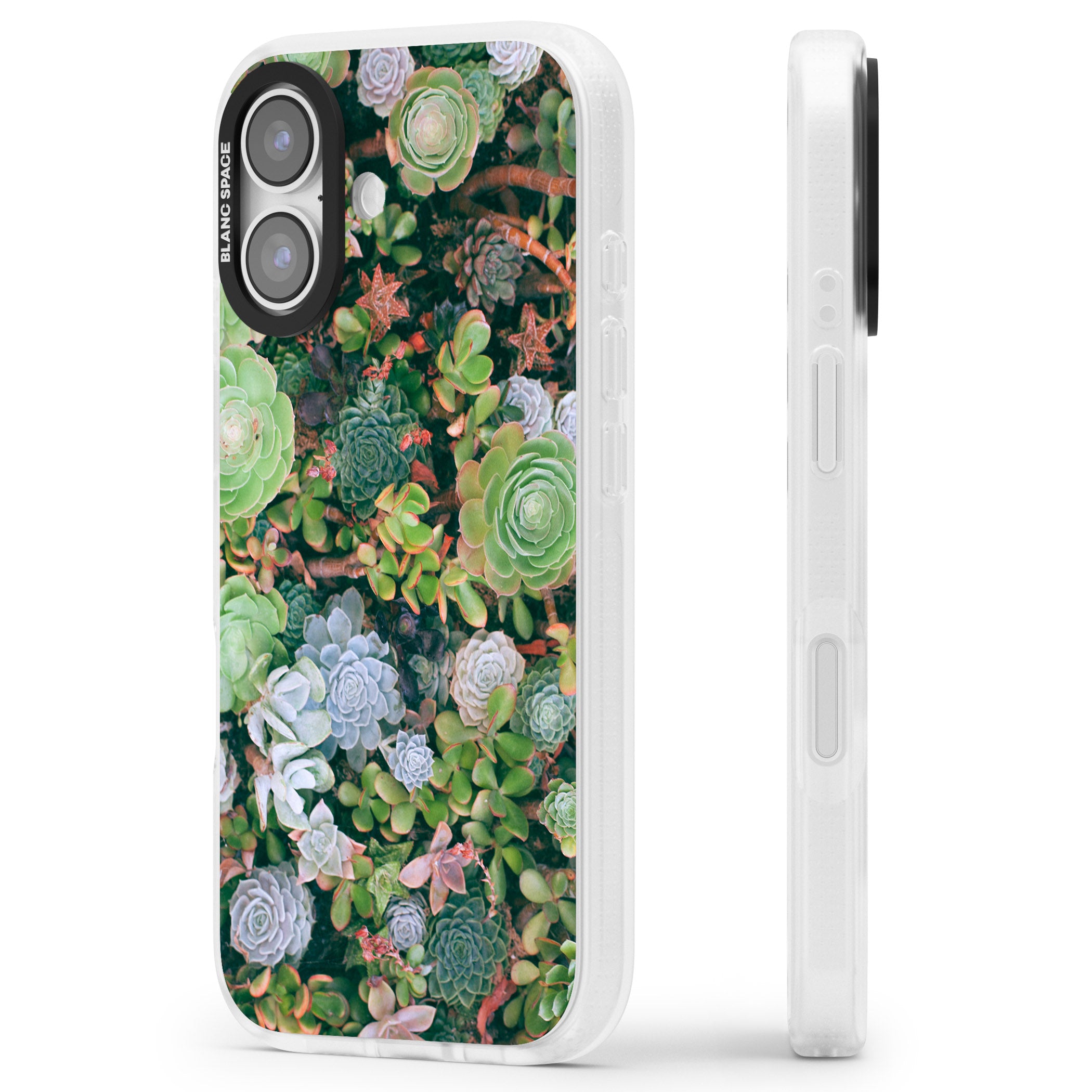 Succulent Garden iPhone 17 Impact Air Clear Phone Case Side Profile