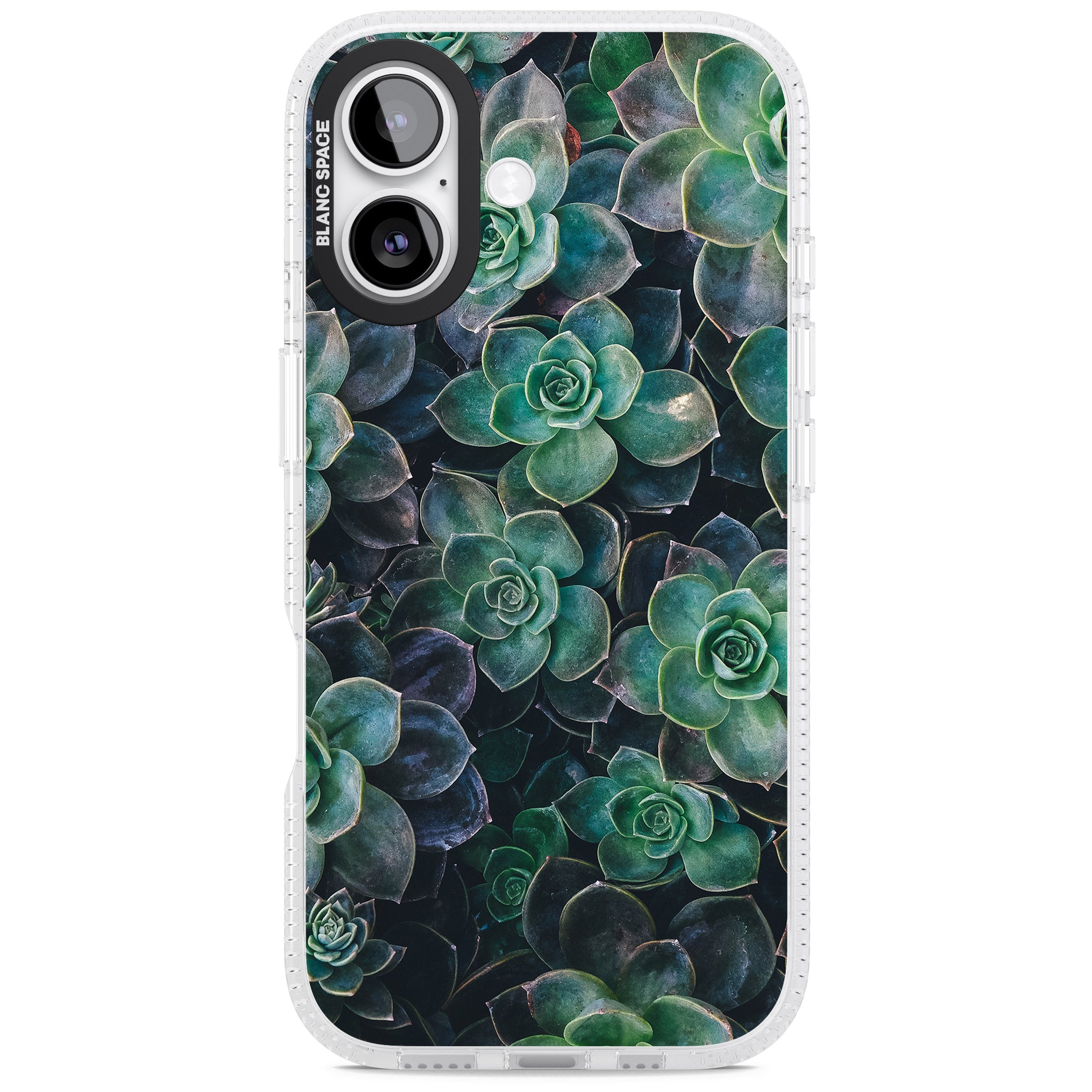 Succulent Bloom Botanical iPhone 17 Impact Air Clear Phone Case