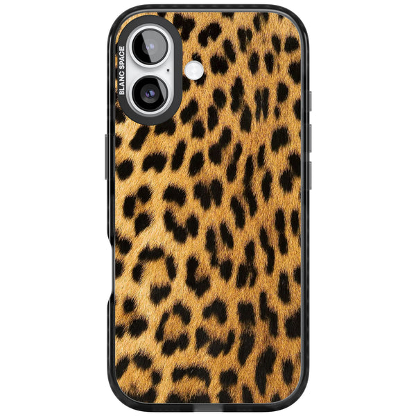 Savannah Leopard